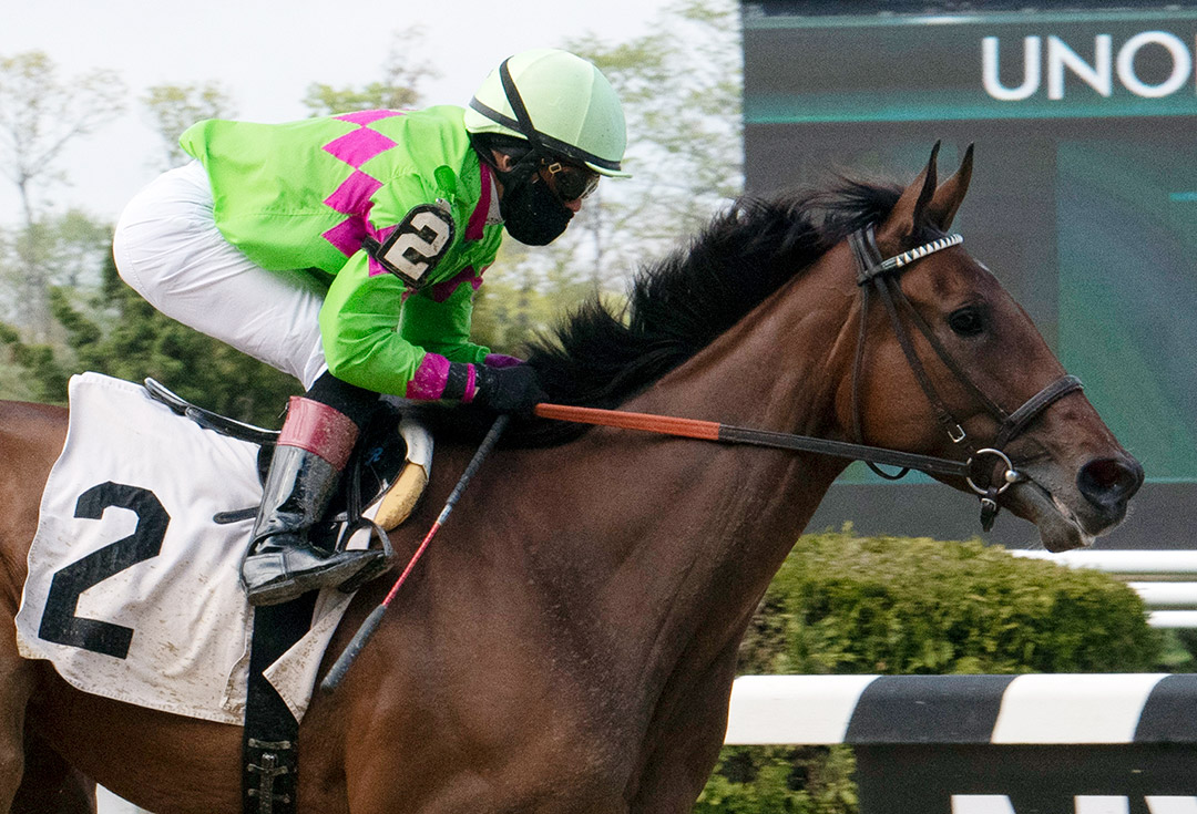 Spungie wins an April 25 maiden race at Belmont