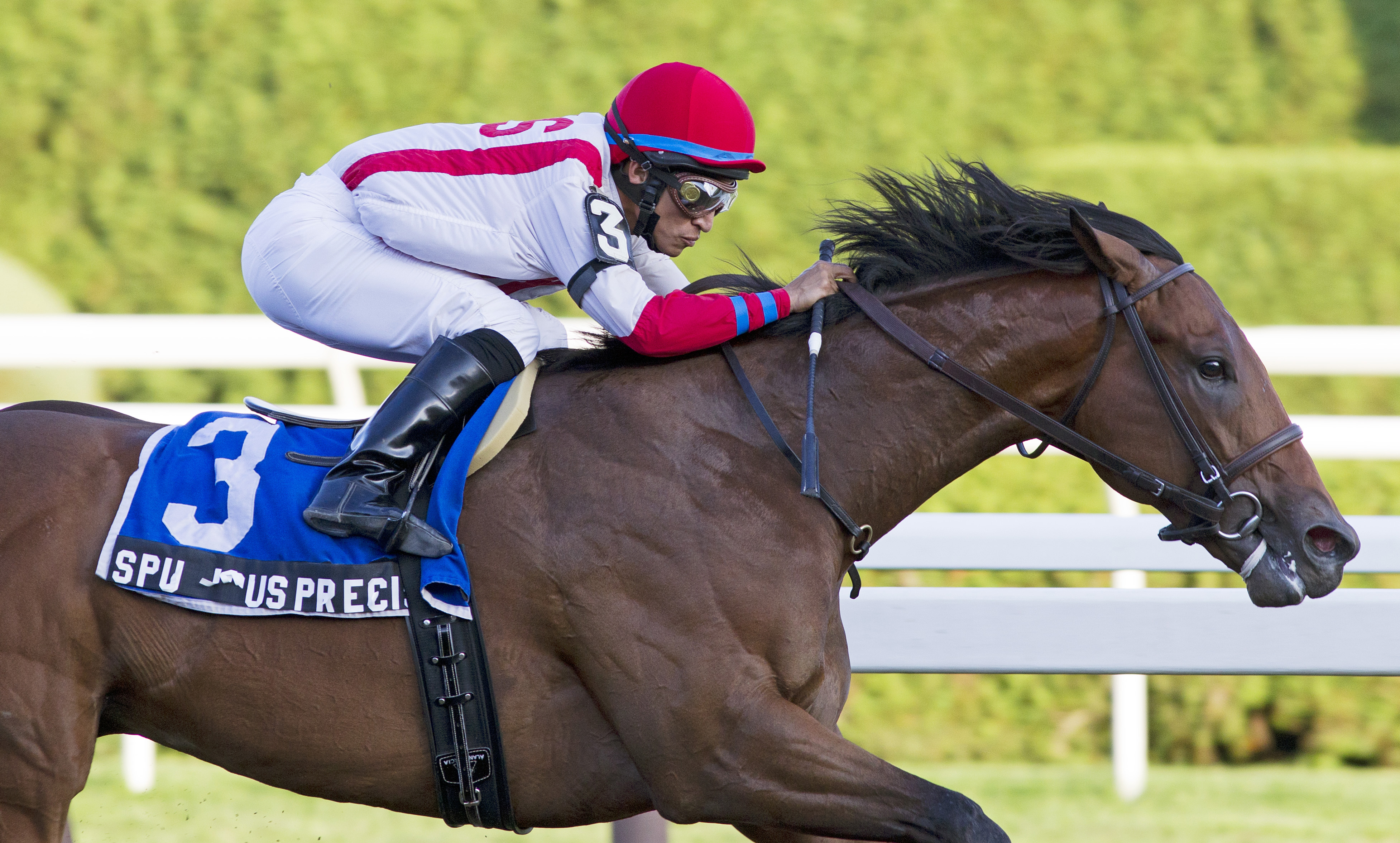 Spurious Precision/Saratoga Special
