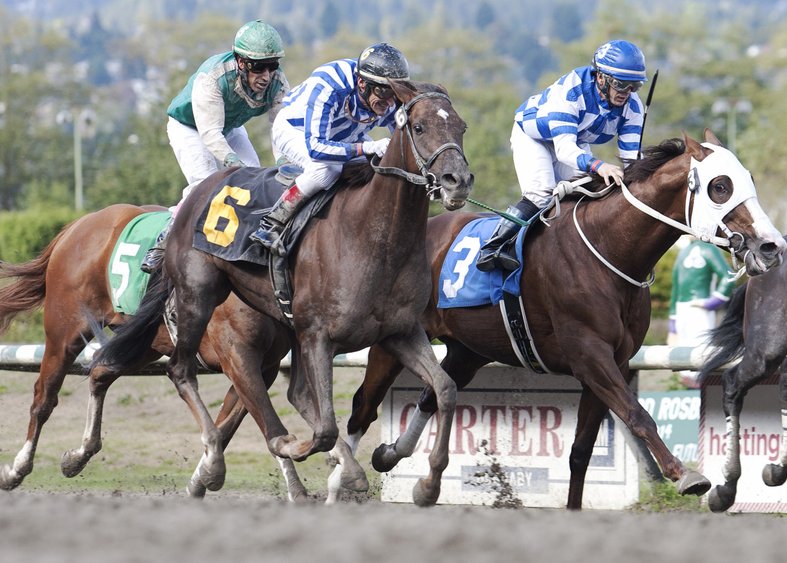 Square Dancer wins the S.W. Randall Plate Stakes