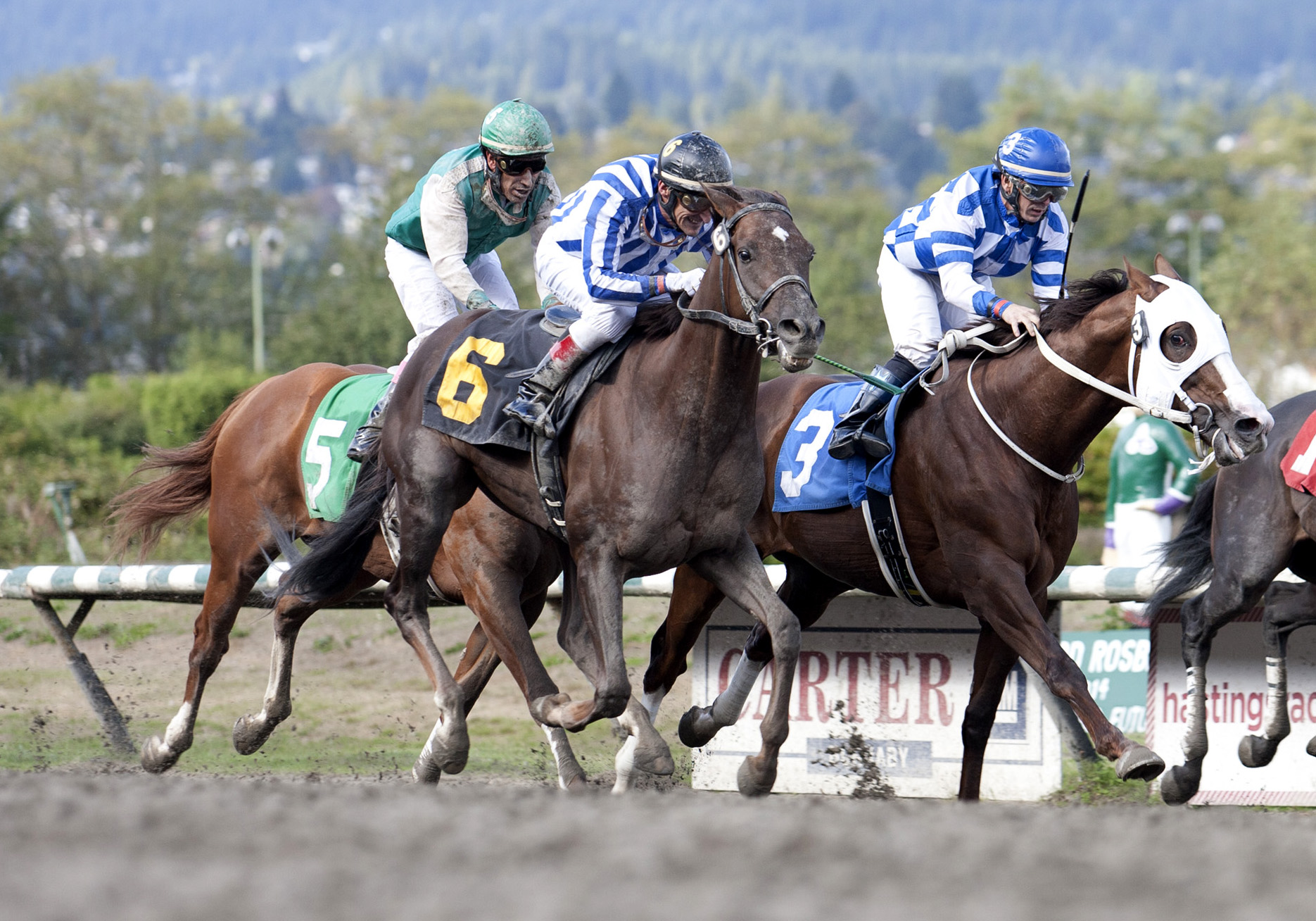 Square Dancer wins the S.W. Randall Plate Stakes