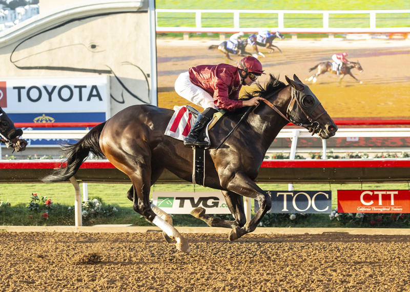 Square Deal wins the 2019 I'm Smokin Stakes