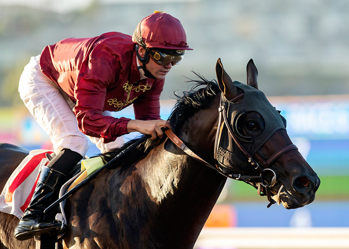 Square Deal wins the 2019 I'm Smokin Stakes at Del Mar