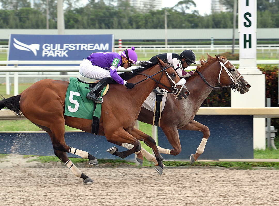 Squeezadios (No. 5) finishes second to Scars Are Cool in an April 25 allowance at Gulfstream Park