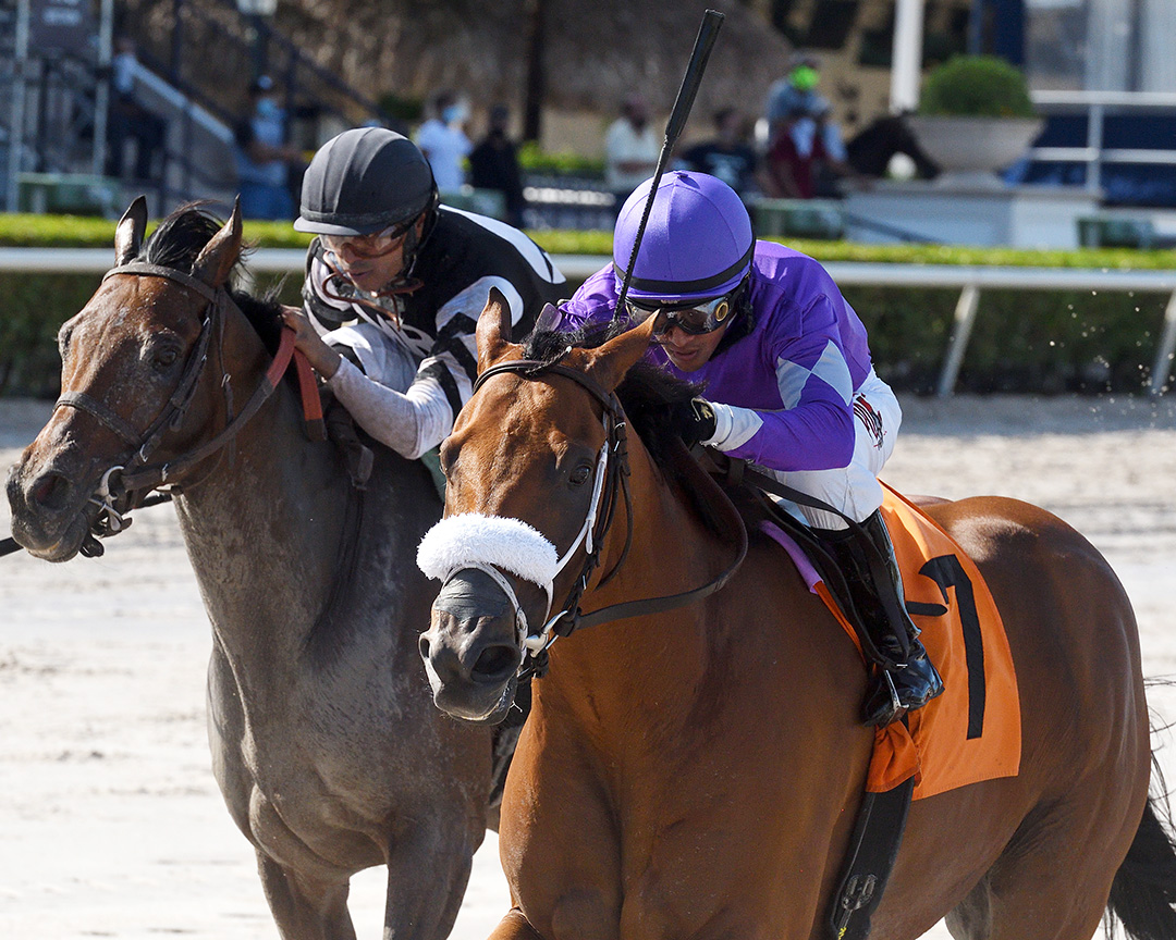 Squeezadios wins an Aug. 15 allowance race at Gulfstream Park