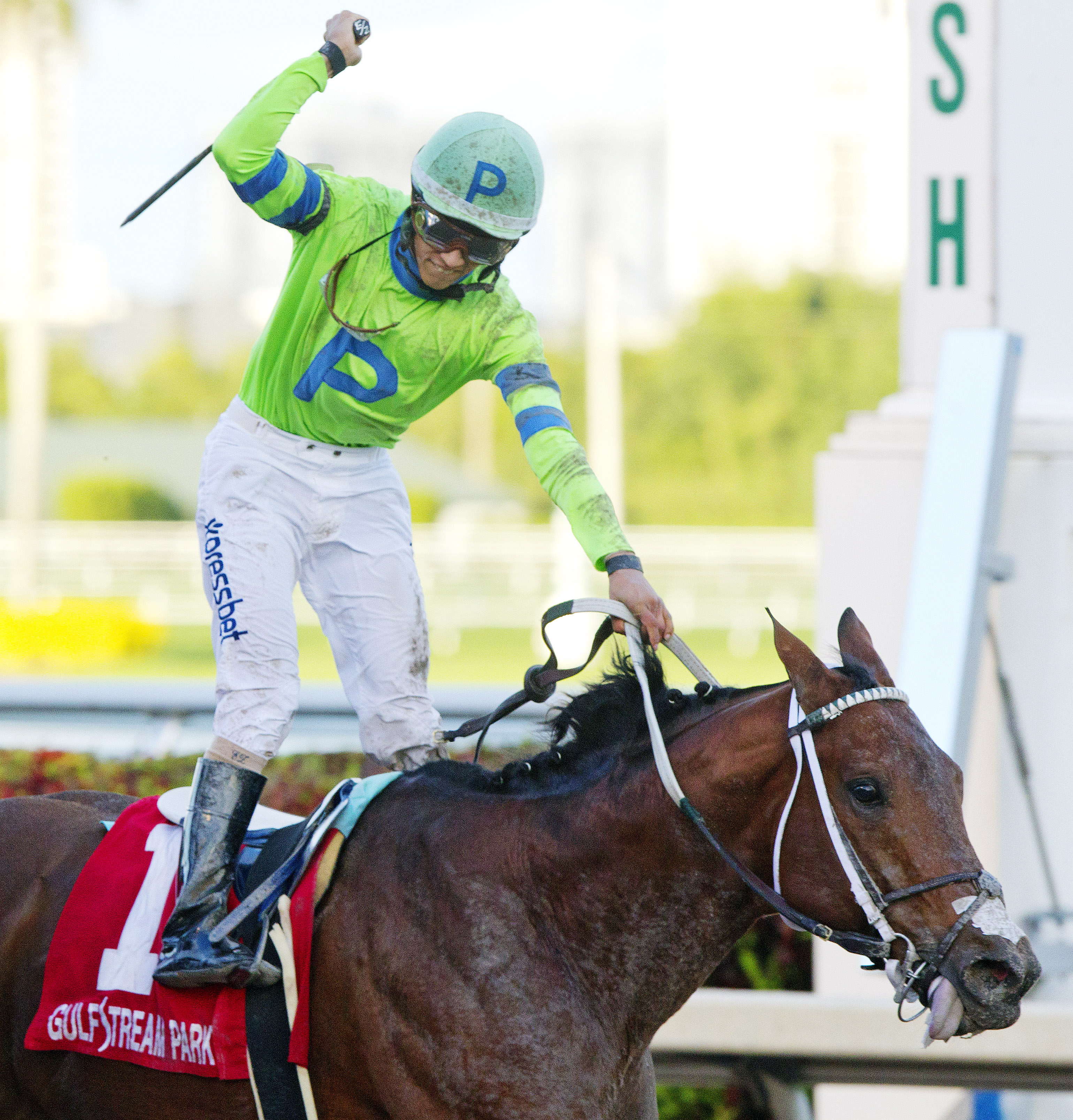 Sr. Quisqueyano wins the Sunshine Millions Classic