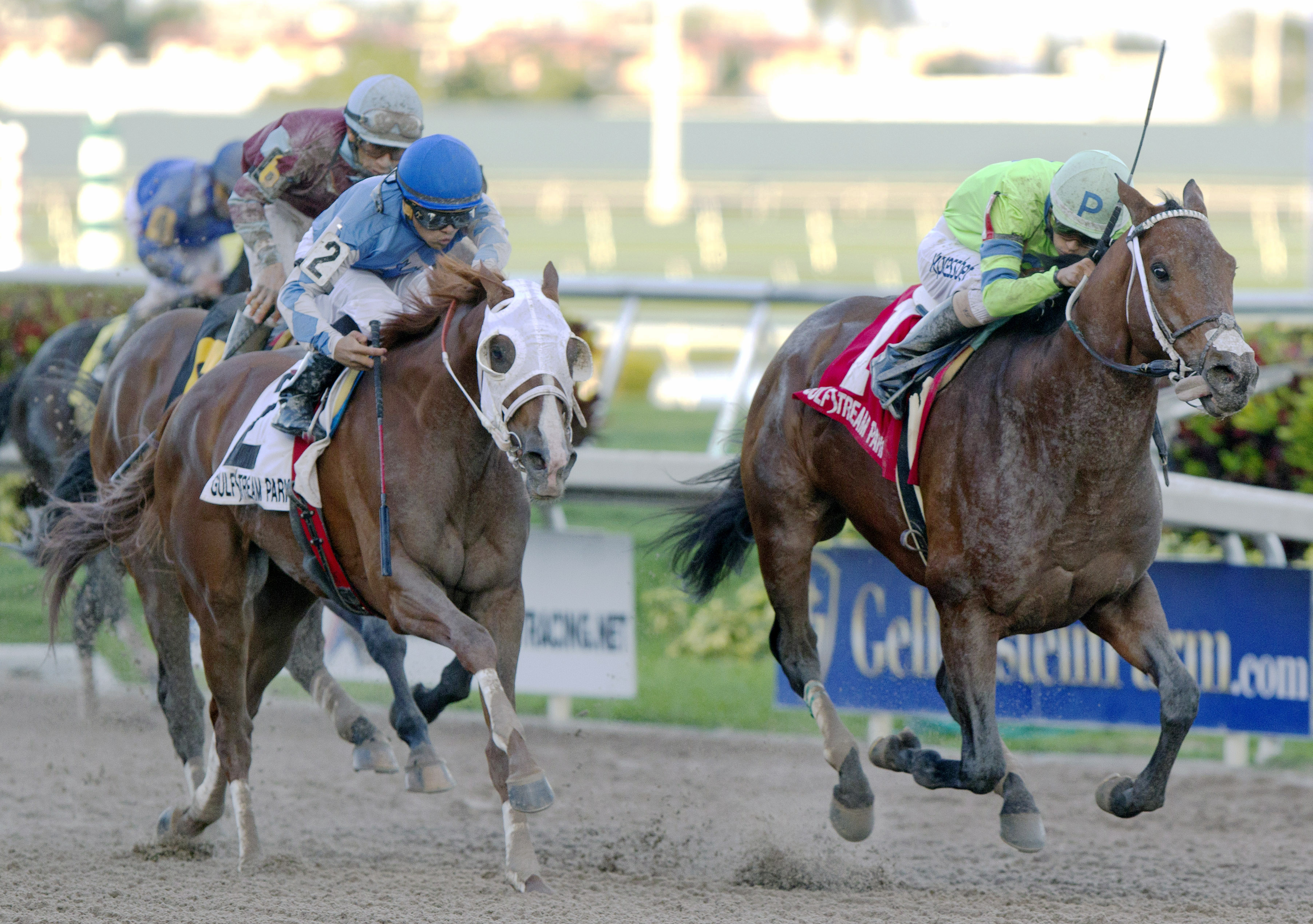 Sr. Quisqueyano wins the Florida Sunshine Millions Classic Stakes