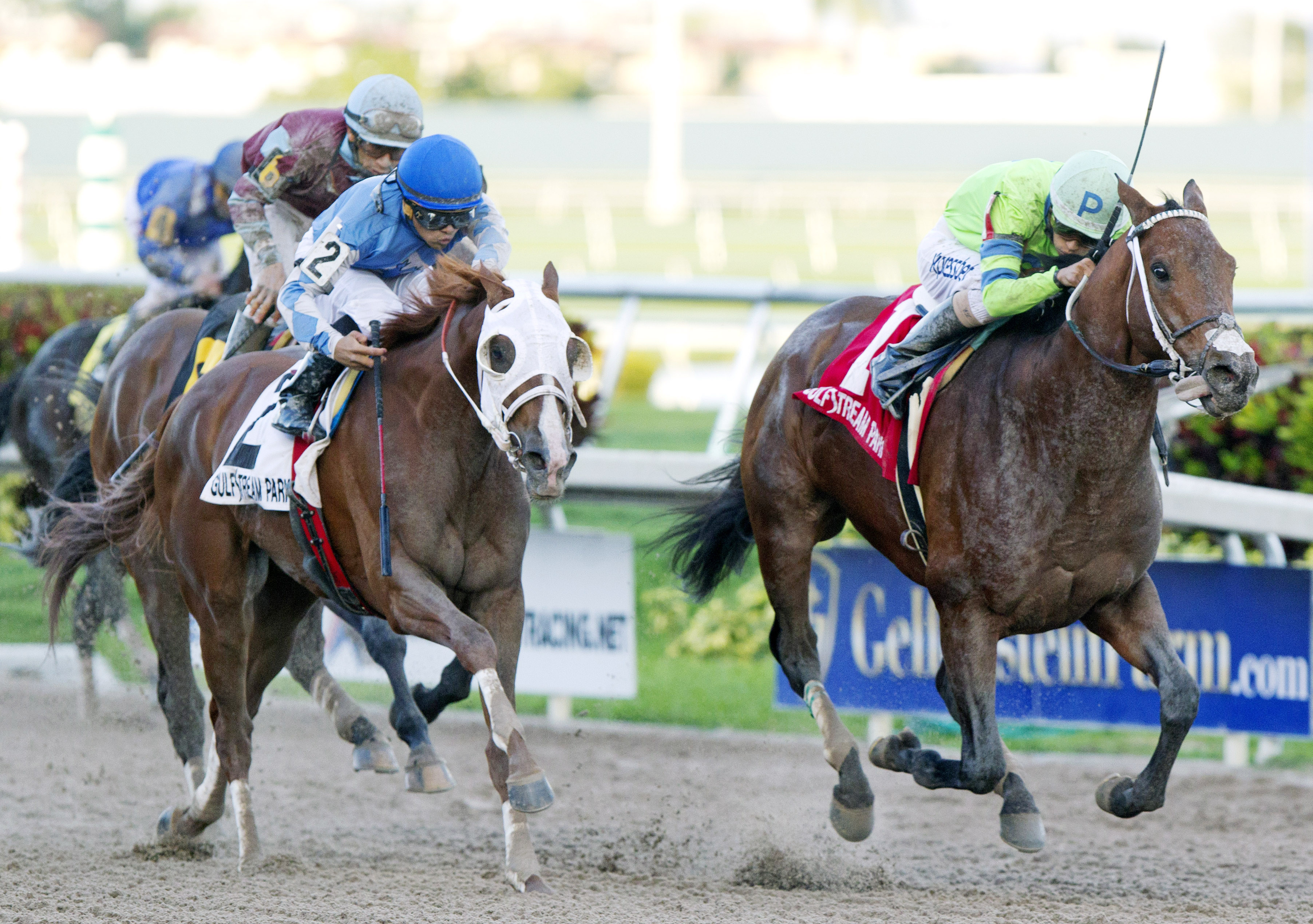 Sr. Quisqueyano wins the Florida Sunshine Millions Classic Stakes
