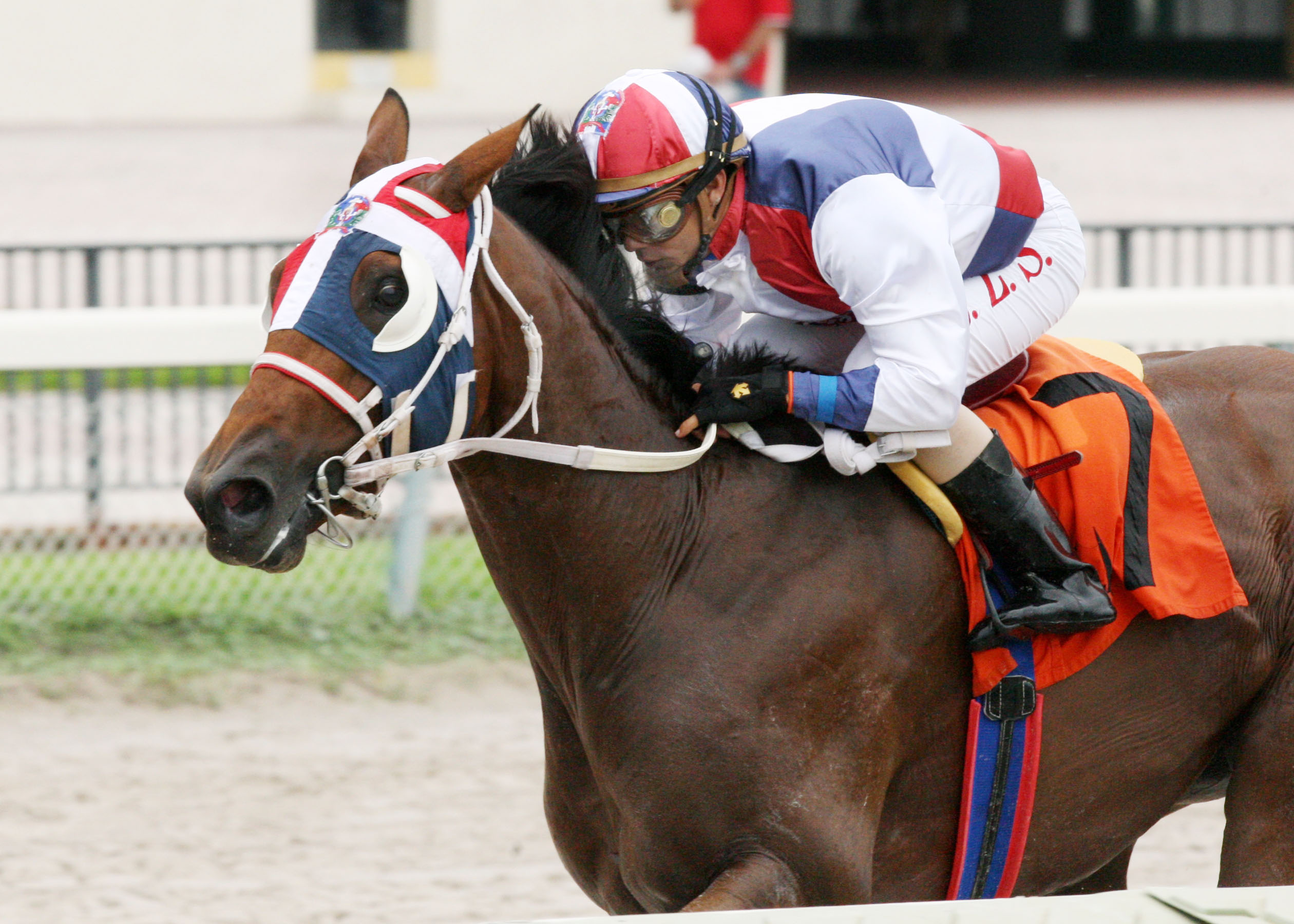 Sr. Quisqueyano/The Seacliff
