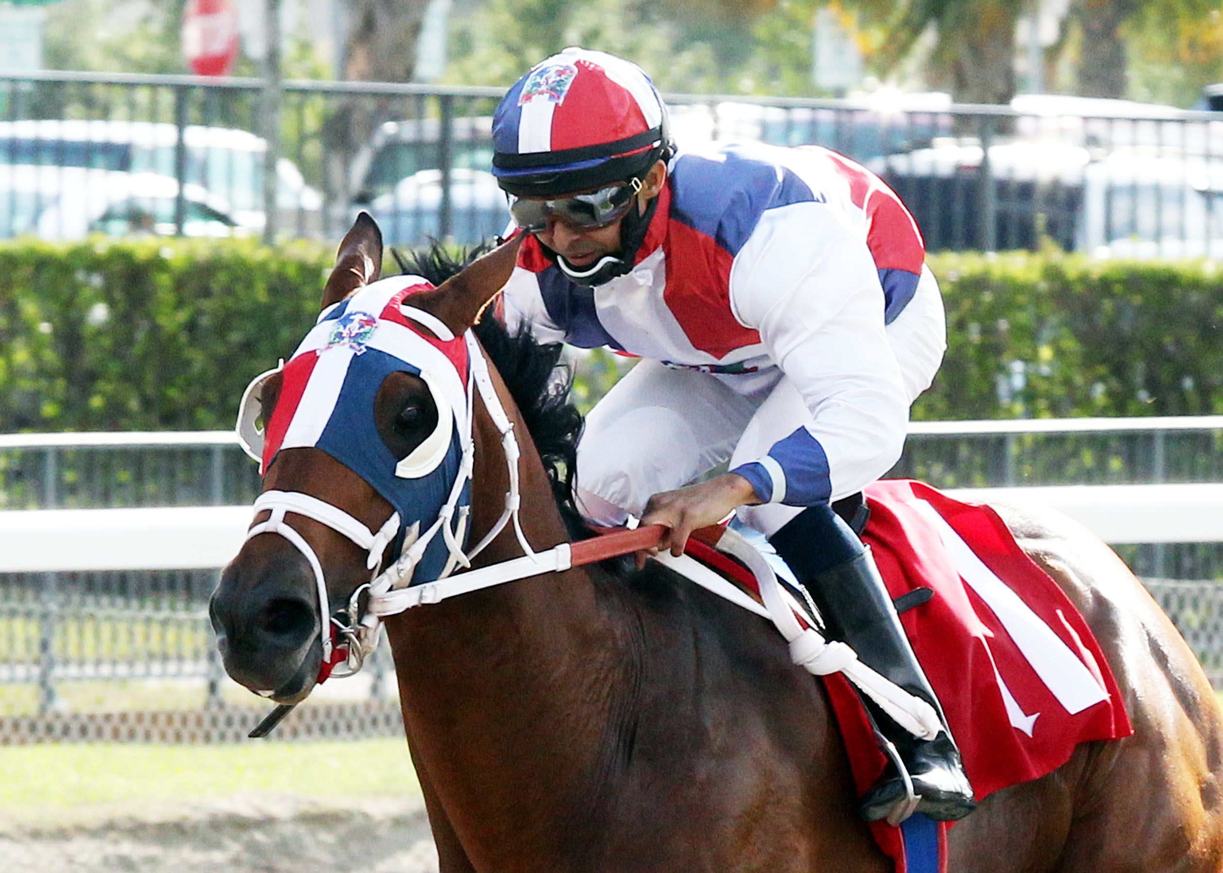 Sr. Quisqueyano, Calder Derby