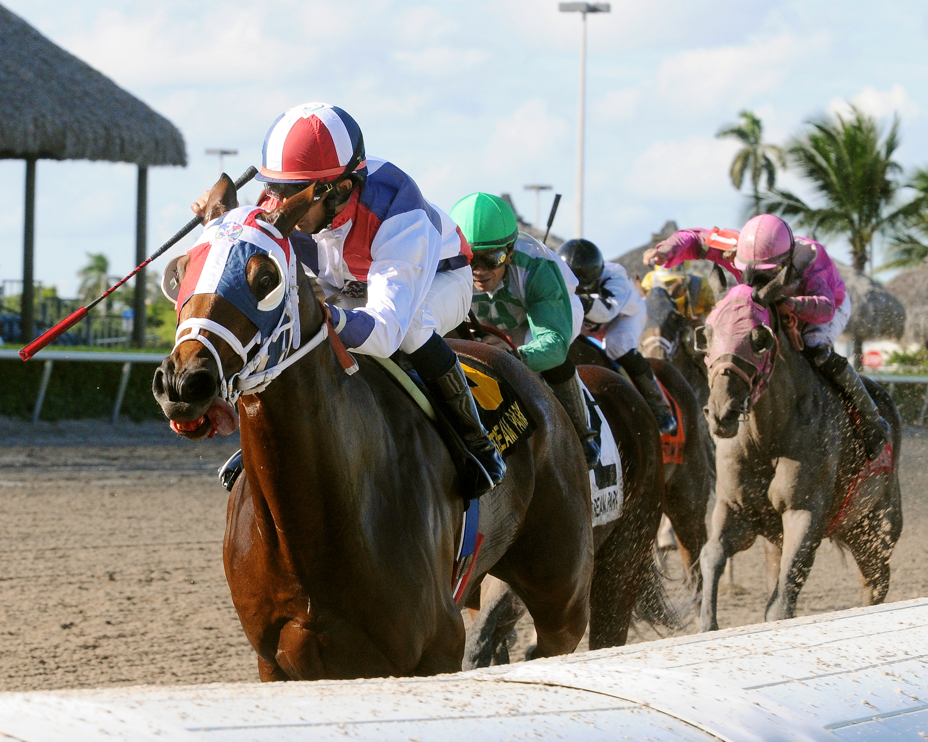 Sr. Quisqueyano wins the 2013 Quality Road