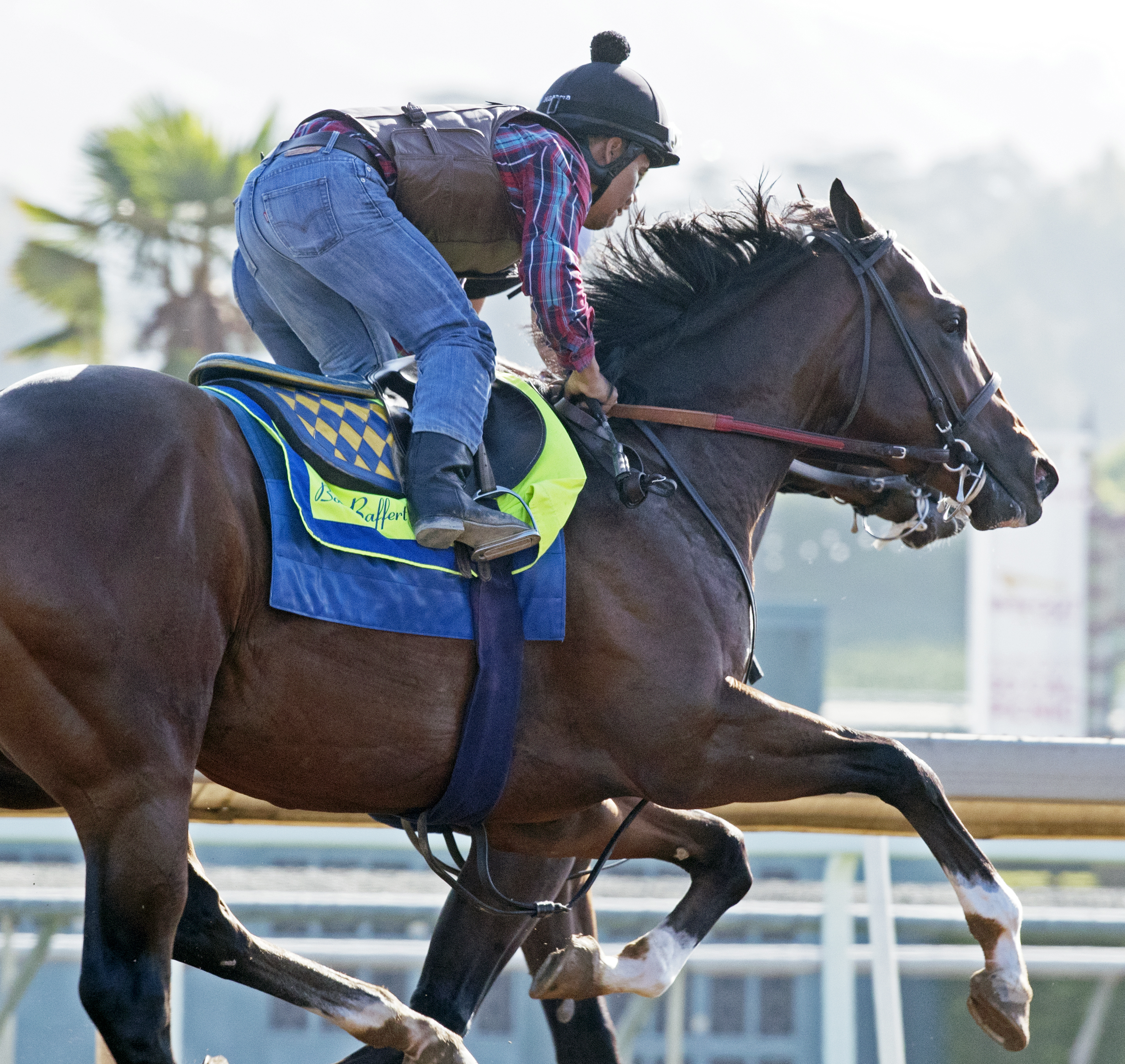 St Patrick's Day trains at Santa Anita on June 28, 2017