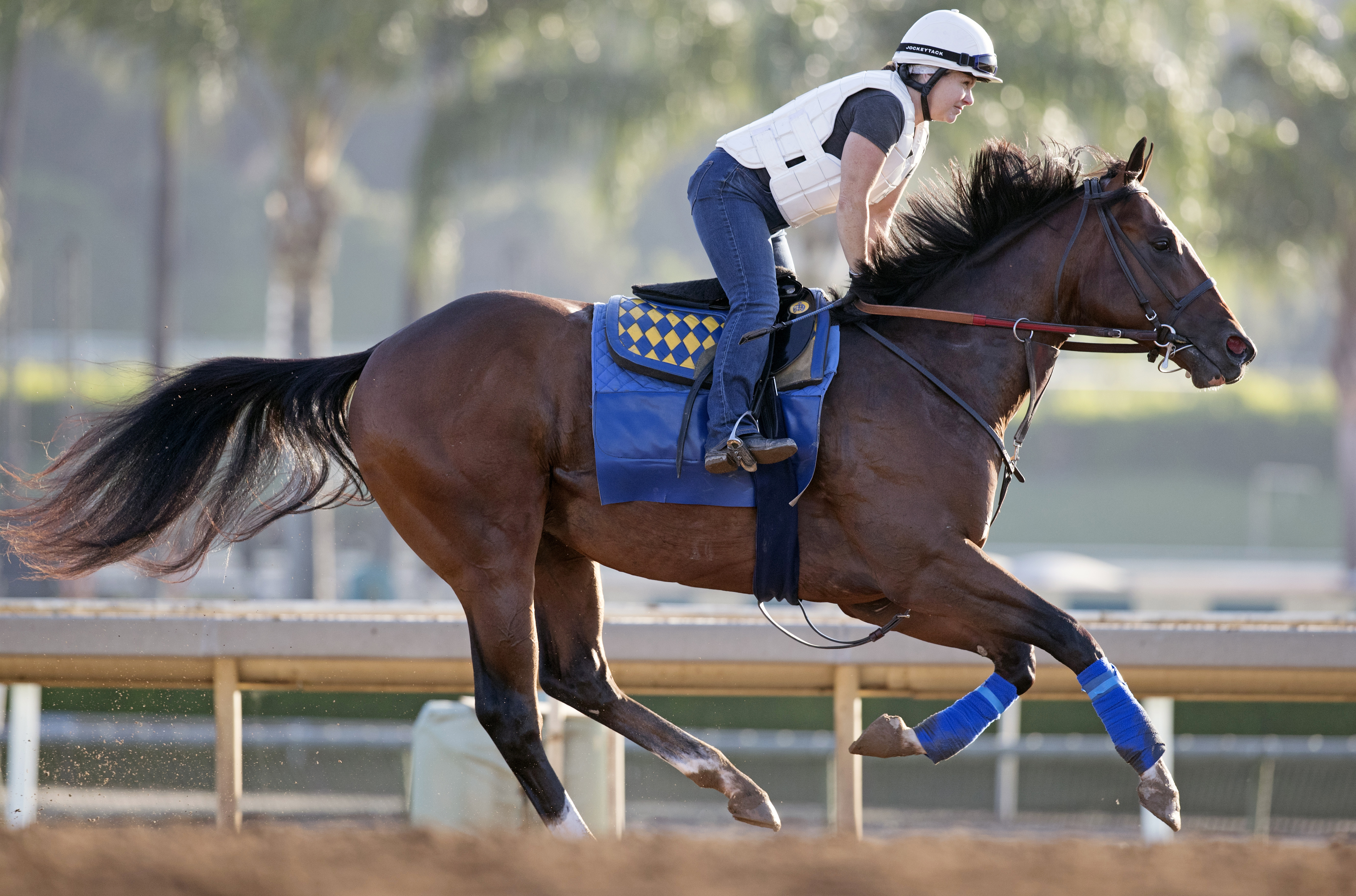 St Patrick's Day trains at Santa Anita on June 26, 2017
