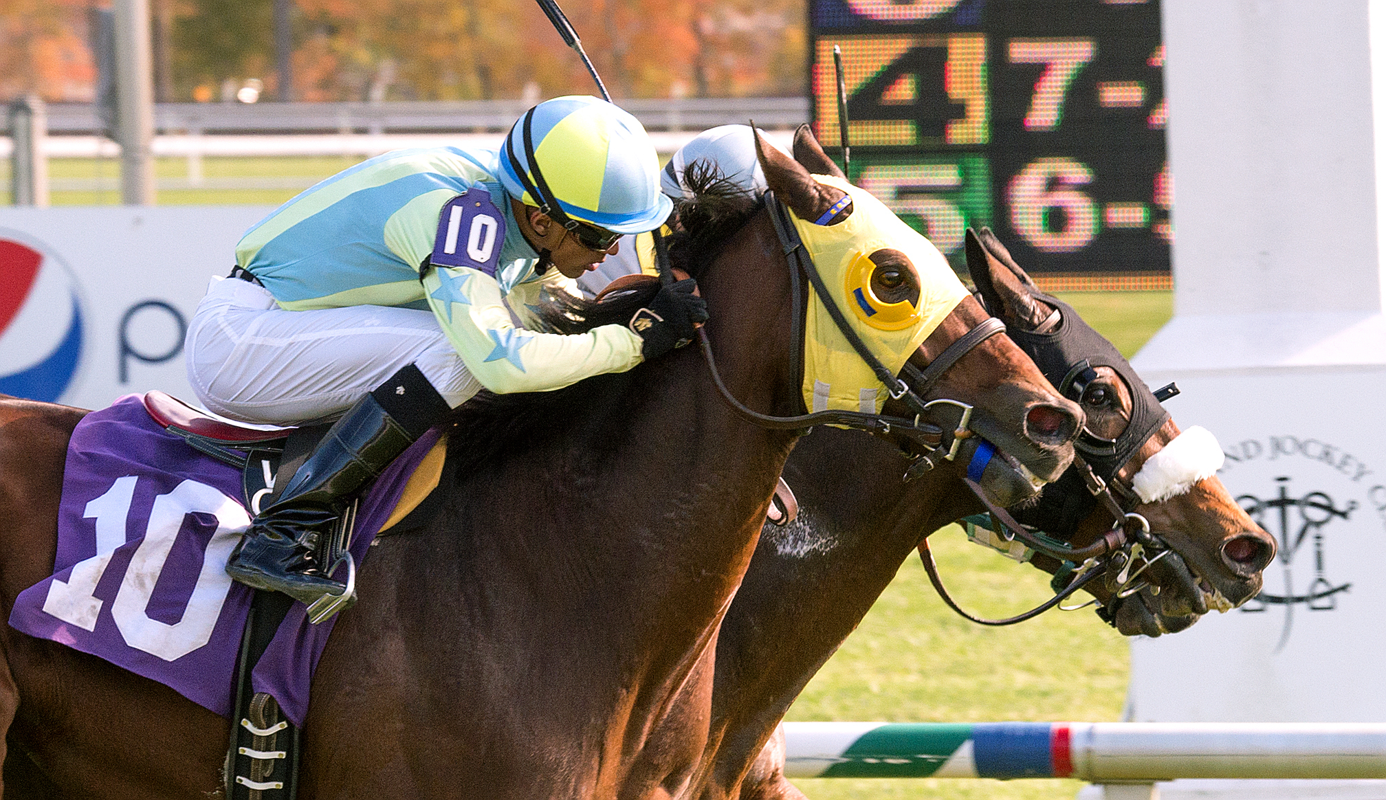 St. Albans Boy wins the Laurel Turf Cup
