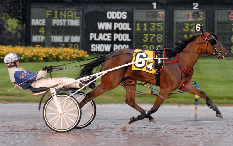 Stacia Hanover