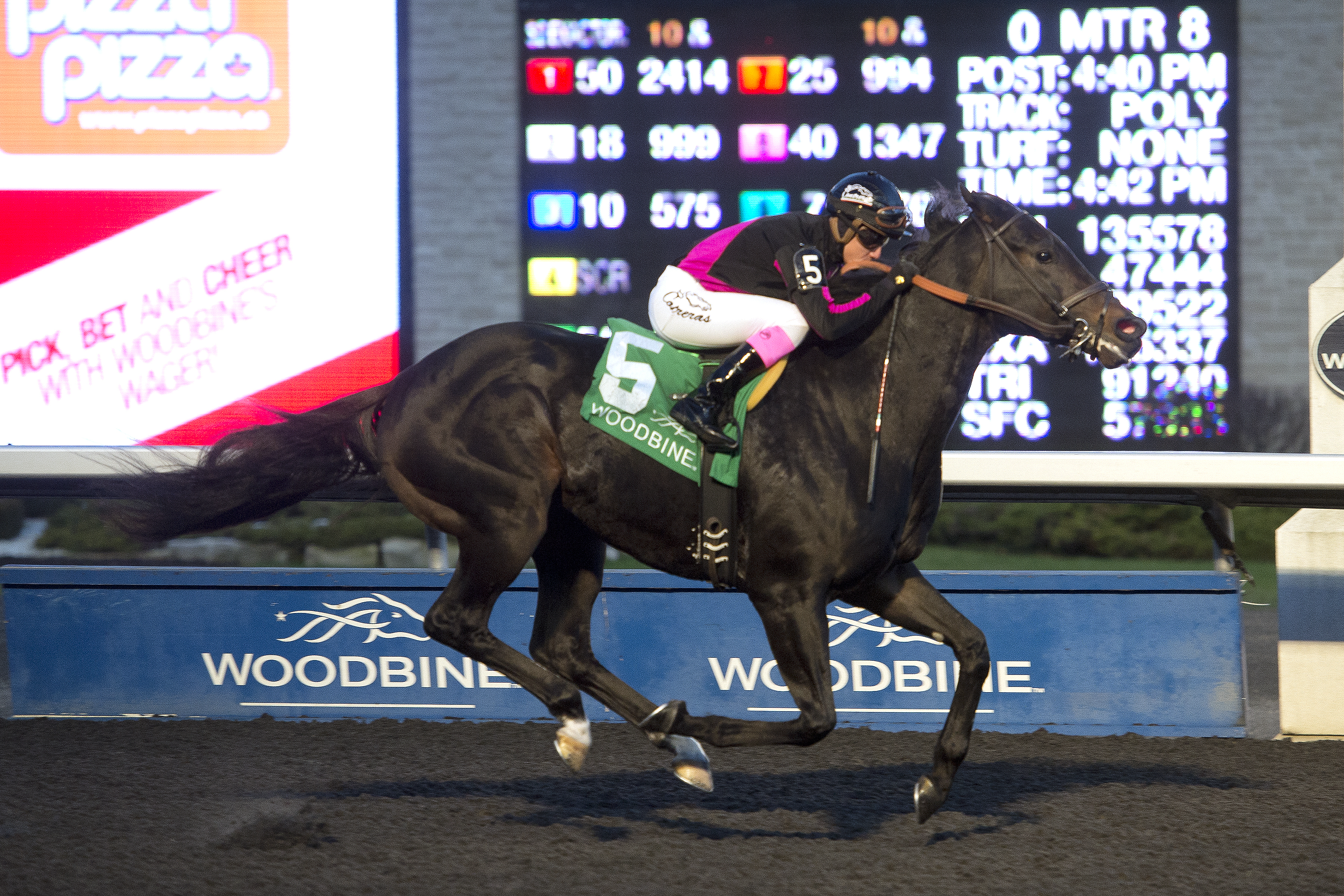 Stacked Deck wins the Kennedy Road Stakes