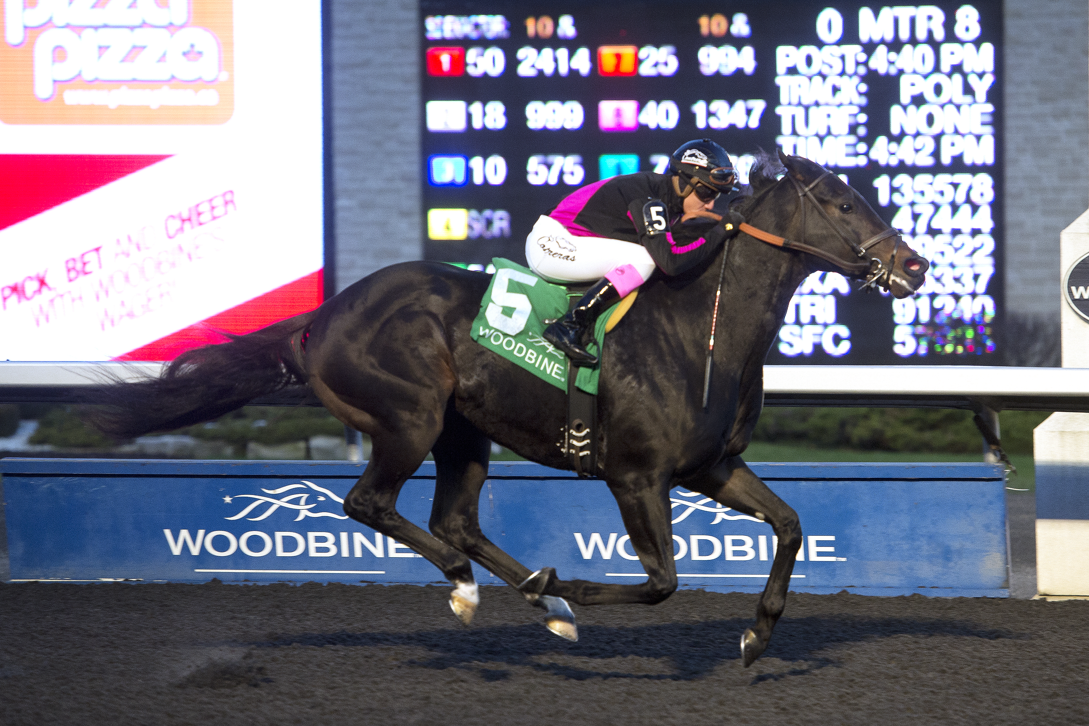 Stacked Deck wins the Kennedy Road Stakes