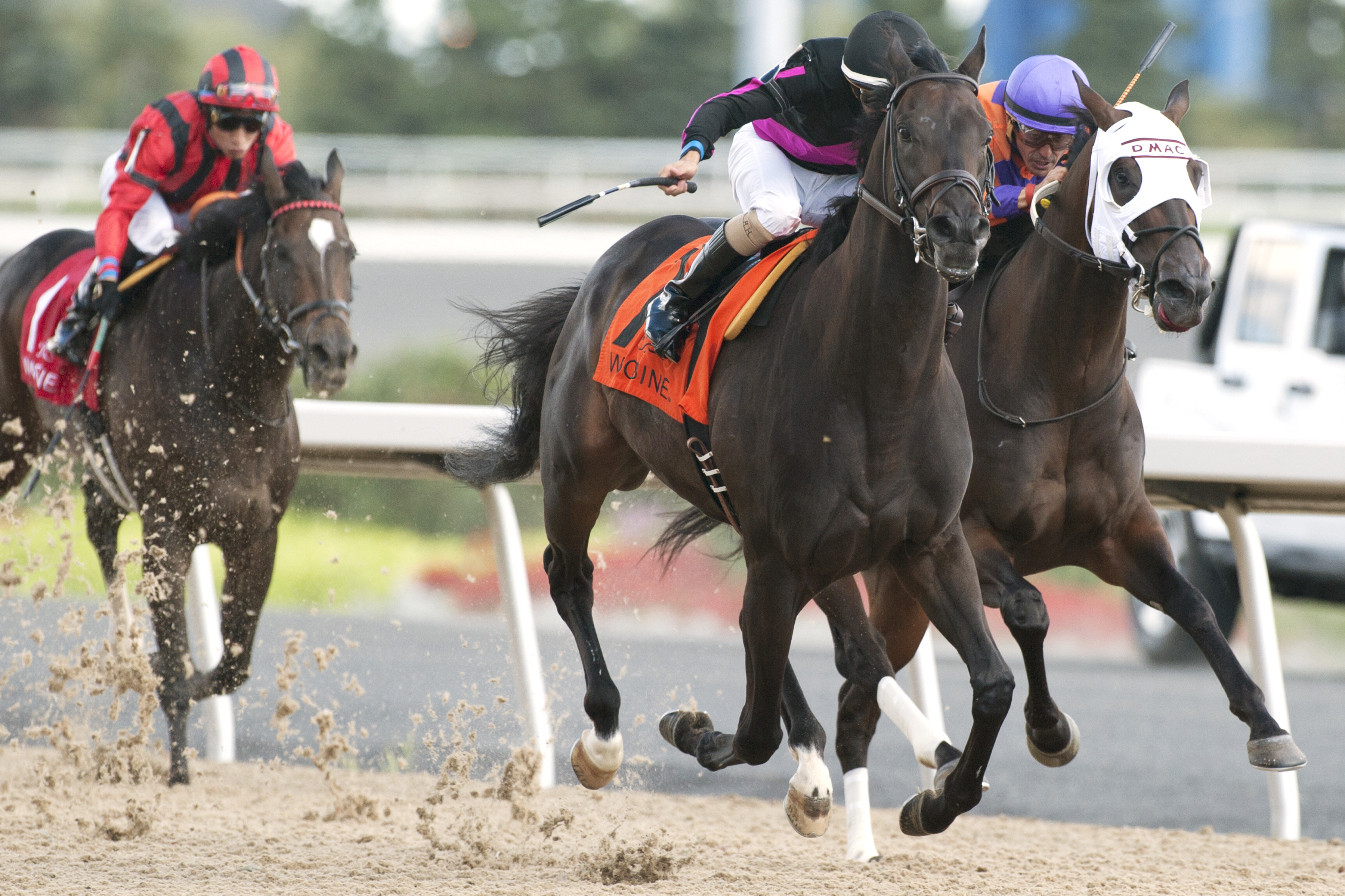Stacked Deck wins the Ontario Jockey Club Stakes
