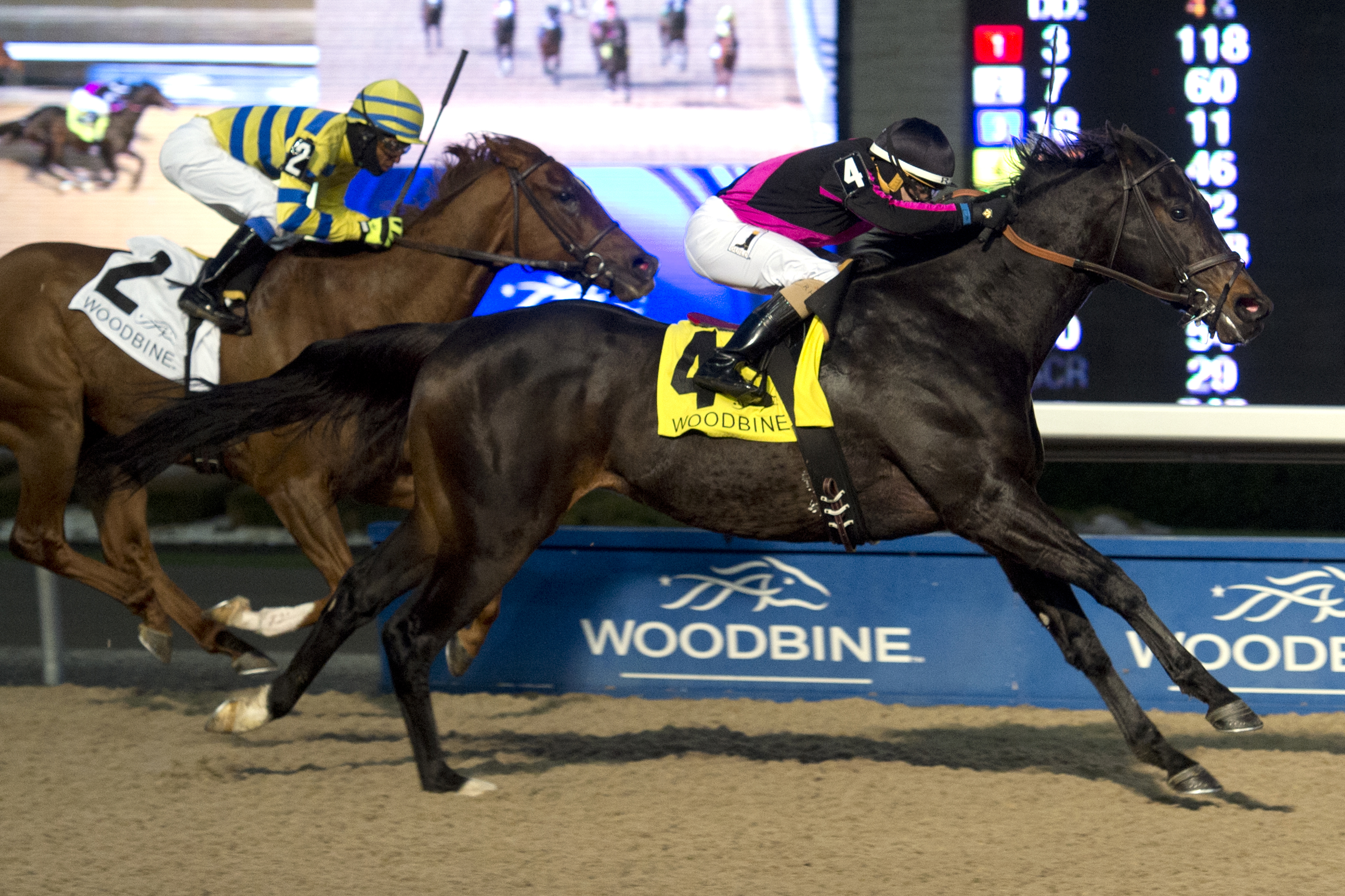 Stacked Deck wins the Kennedy Road