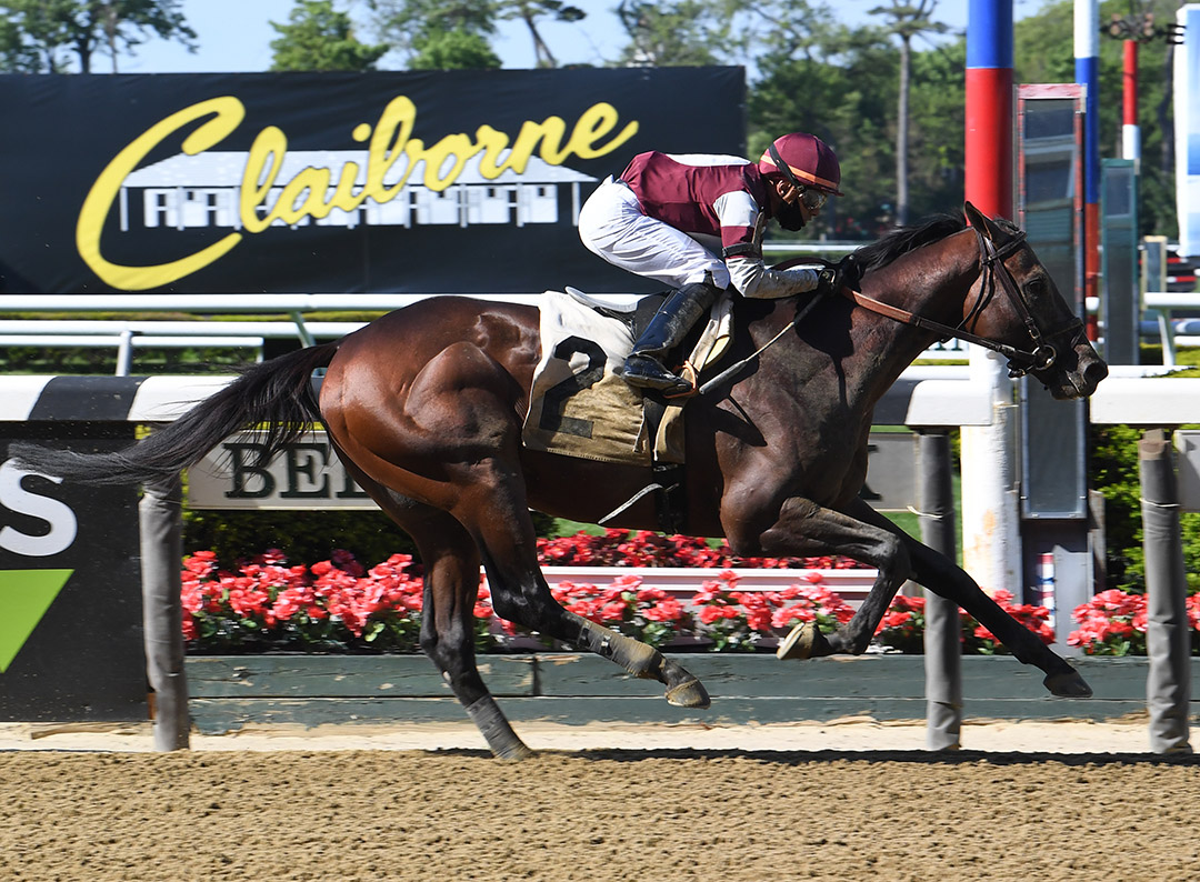 Stage Raider wins a May 14 allowance at Belmont