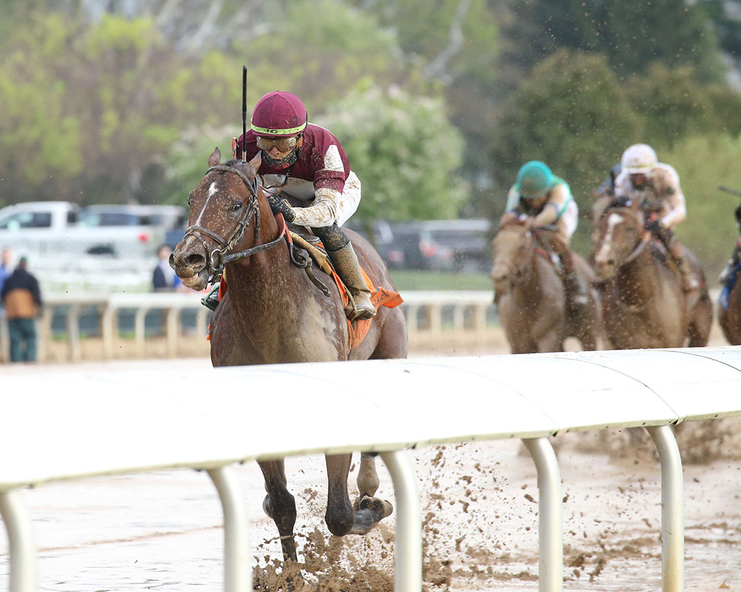 Stage Raider wins an April 10 maiden race at Keeneland