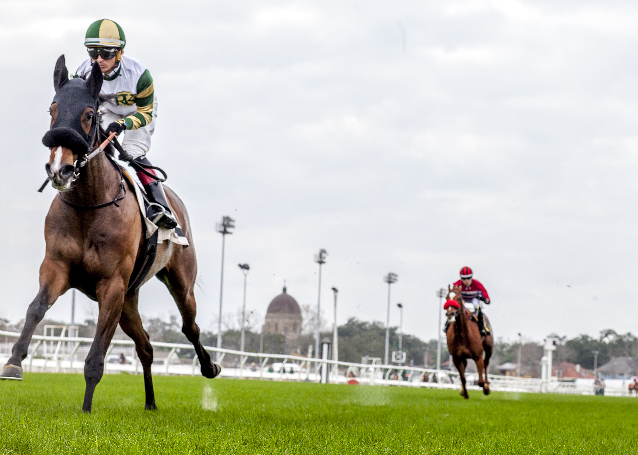 Stallion Heiress 2-11-2017
