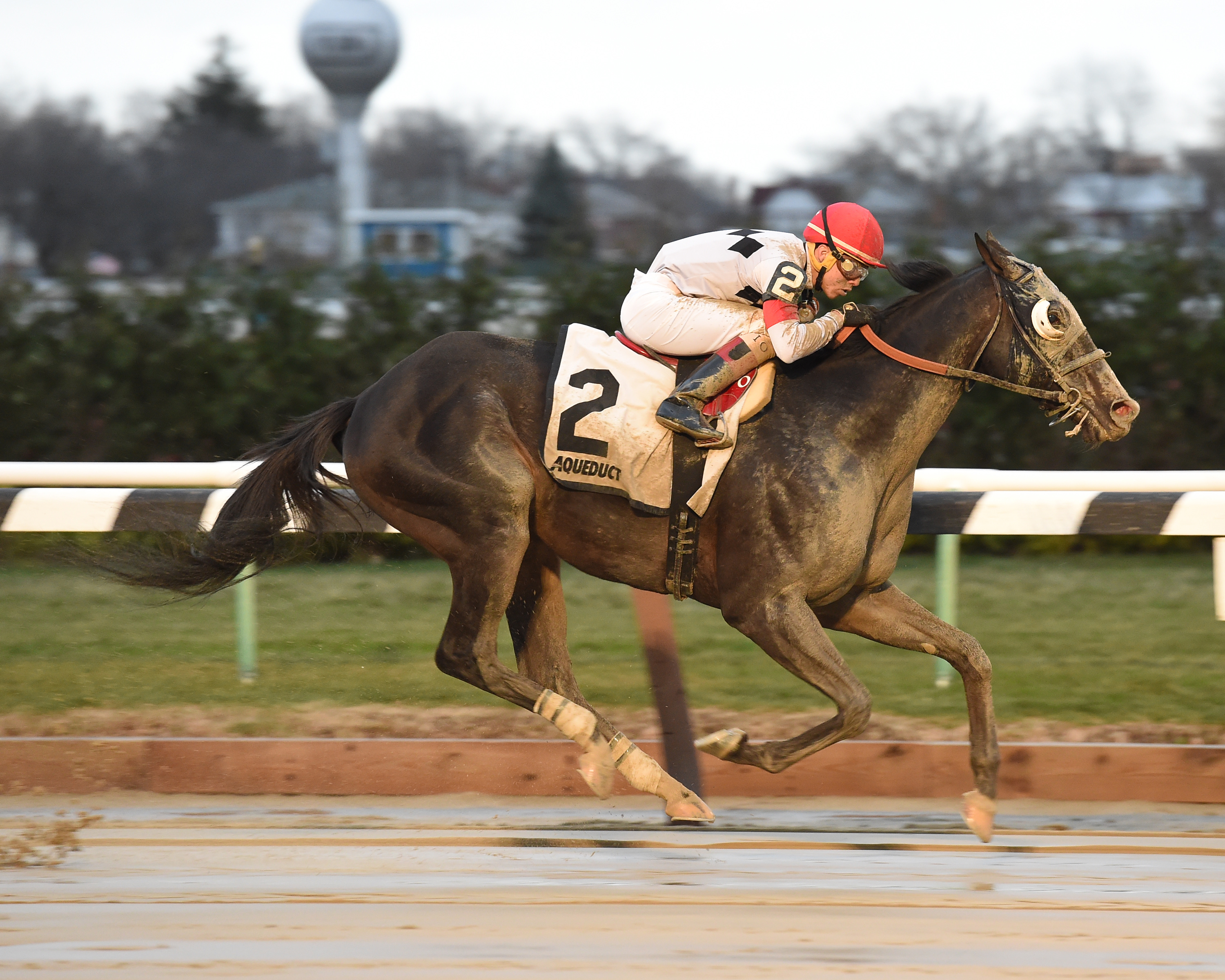Stallwalkin' Dude 12-18-2016