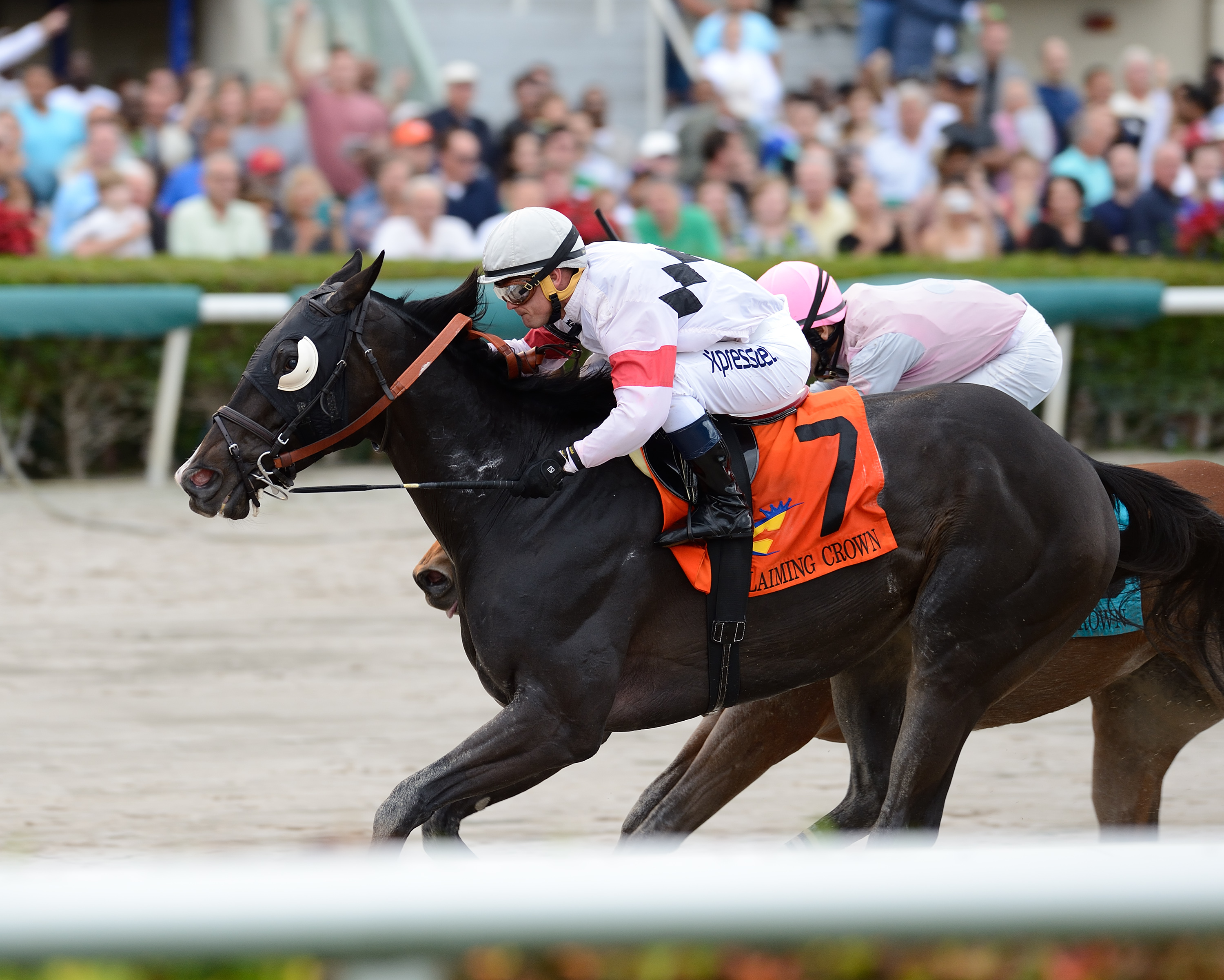 Stallwalkin' Dude wins 2015 Claiming Crown Rapid Transit