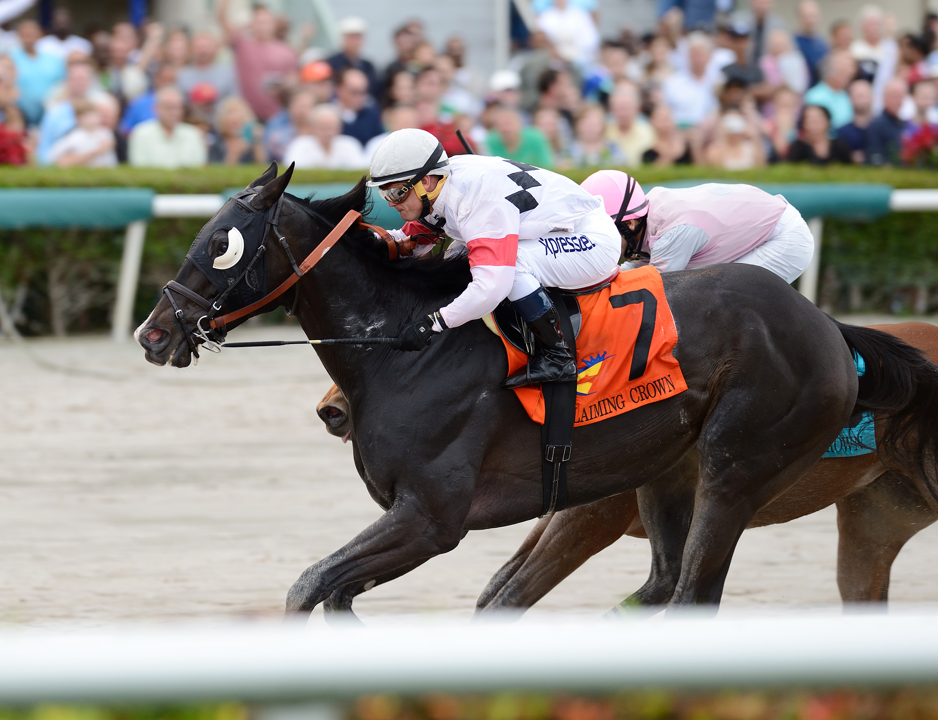 Stallwalkin' Dude wins the Claiming Crown Rapid Transit Stakes