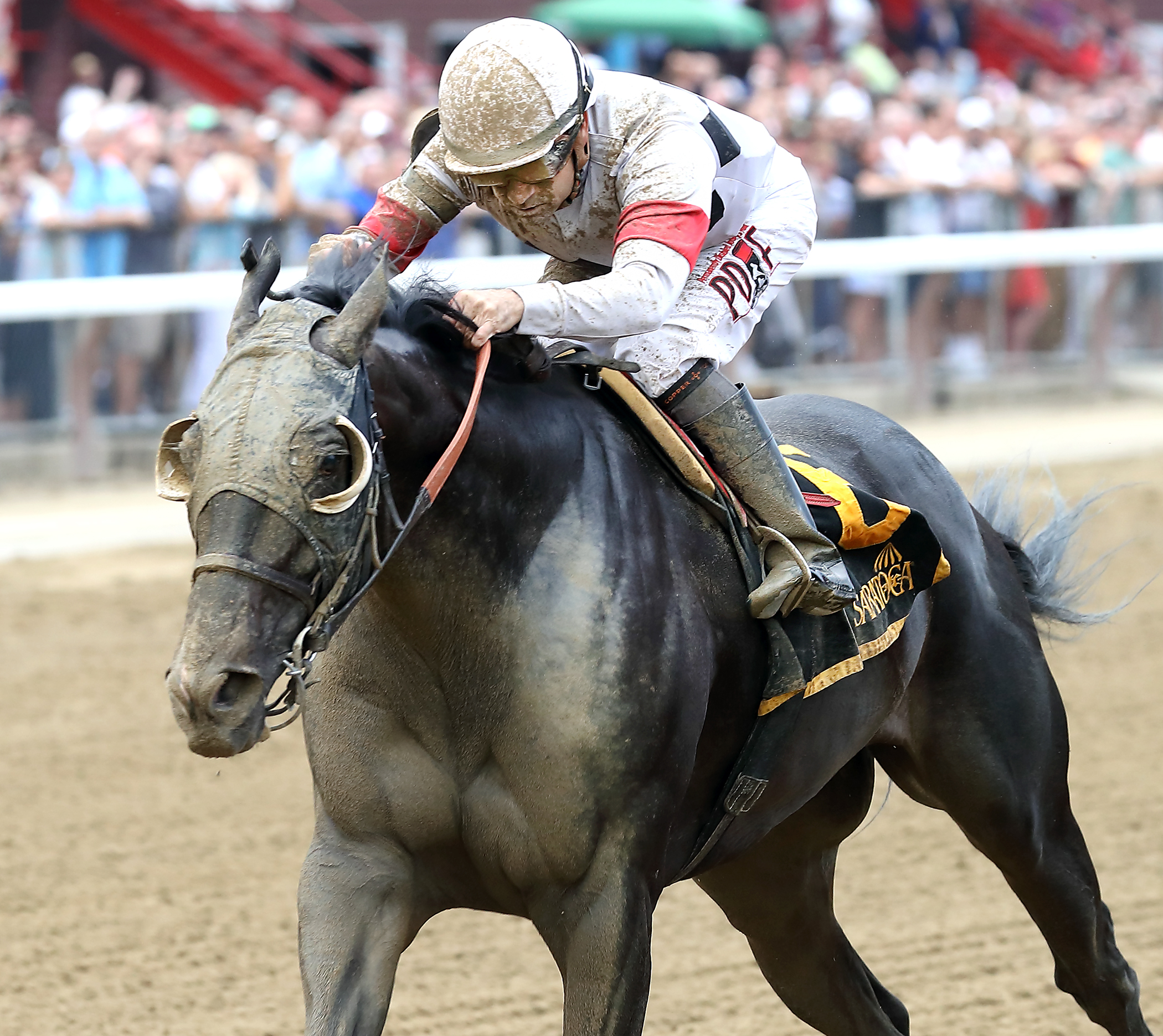 Stallwalkin Dude wins the Tale of the Cat