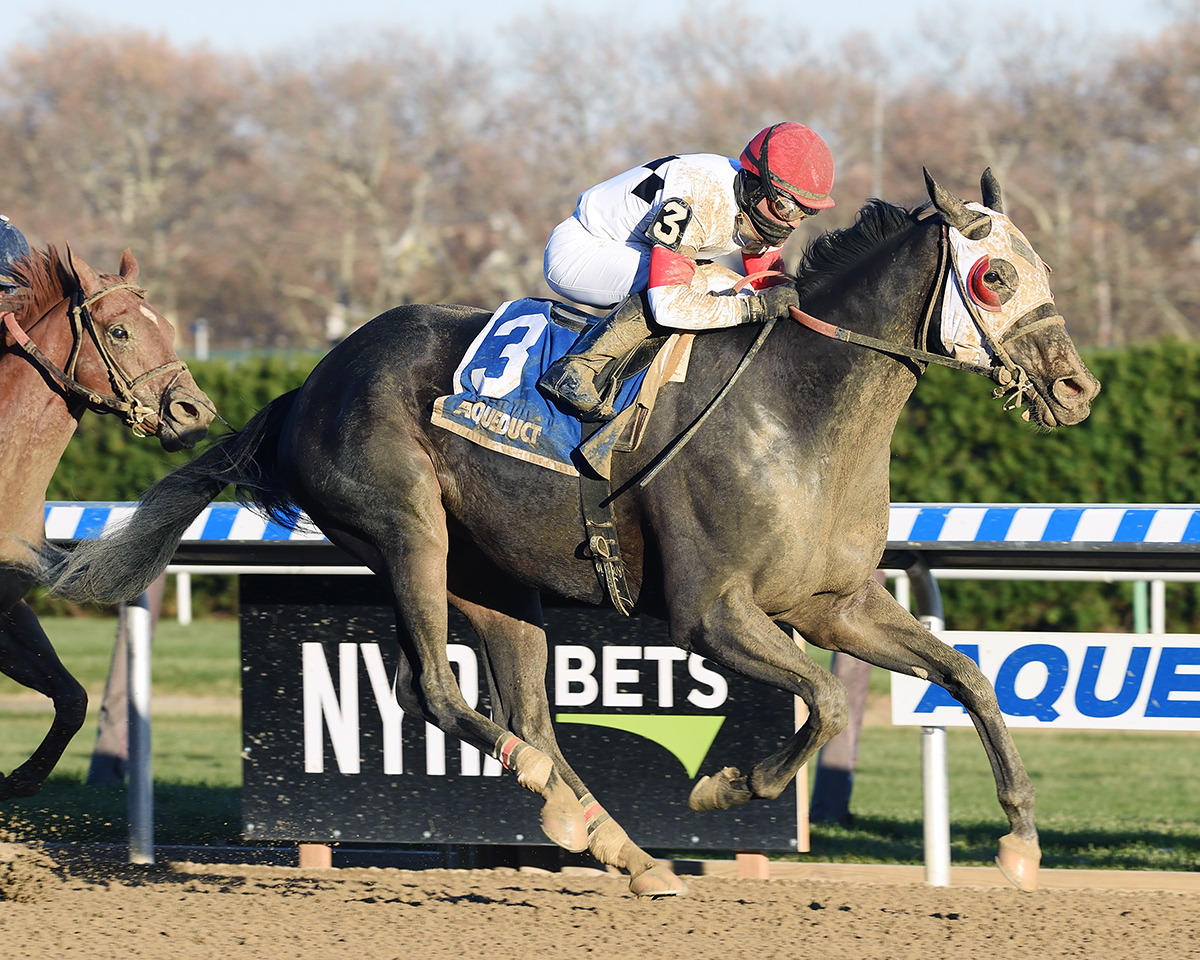 Stallwalkin Dude wins the 2017 Fall Highweight Handicap