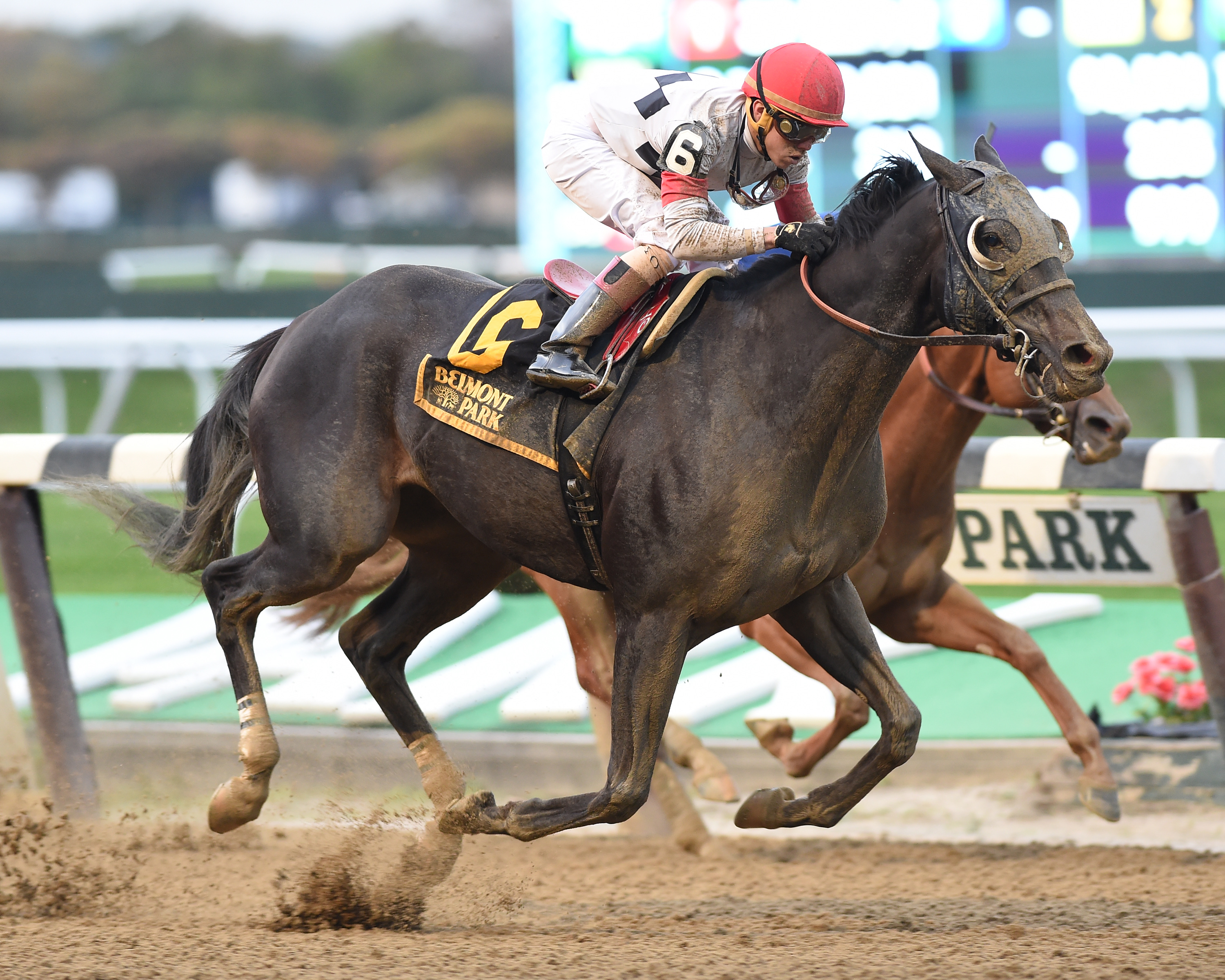 Stallwalkin' Dude wins the Bold Ruler