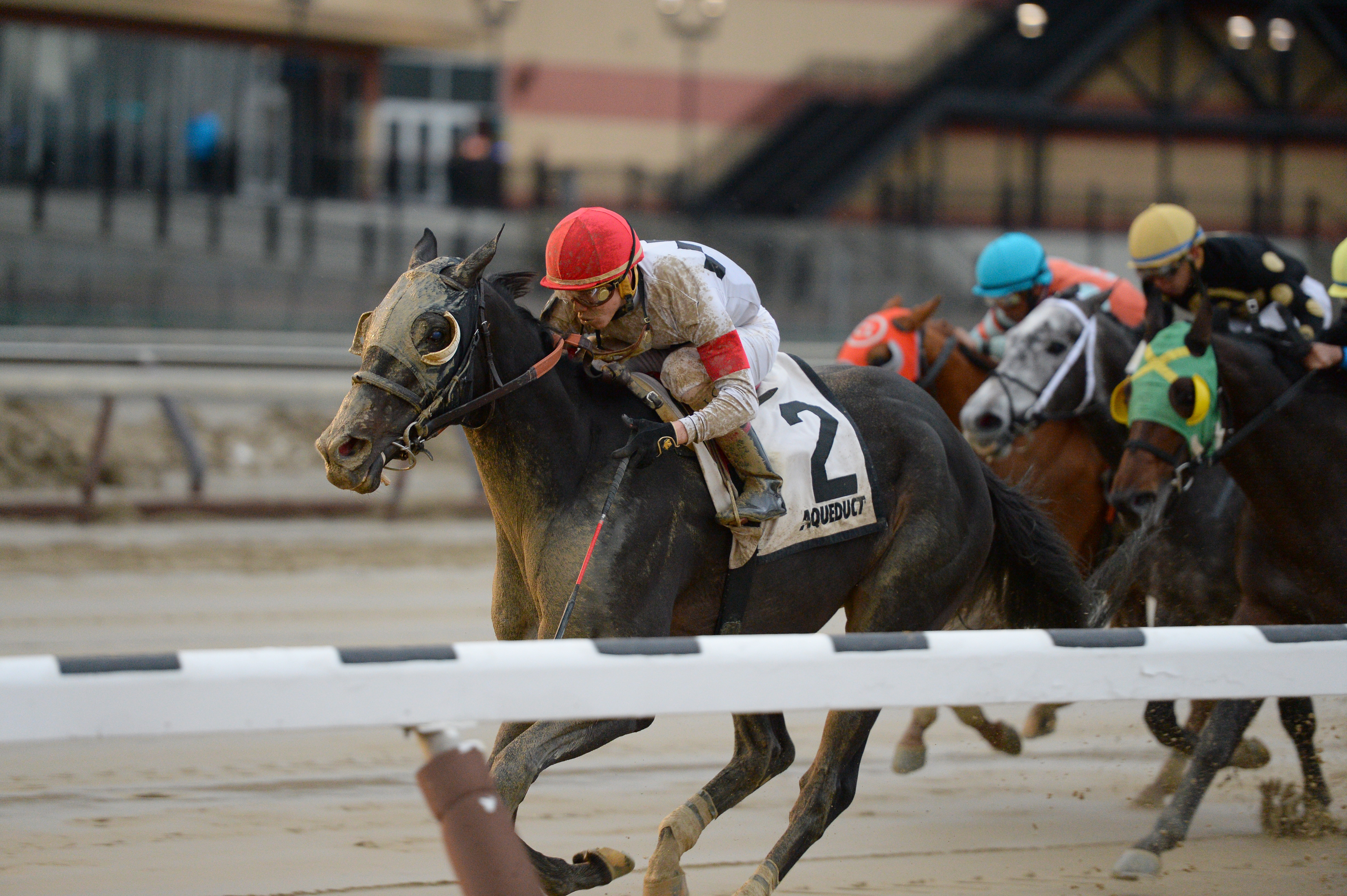 Stallwalkin' Dude wins the Gravesend Stakes