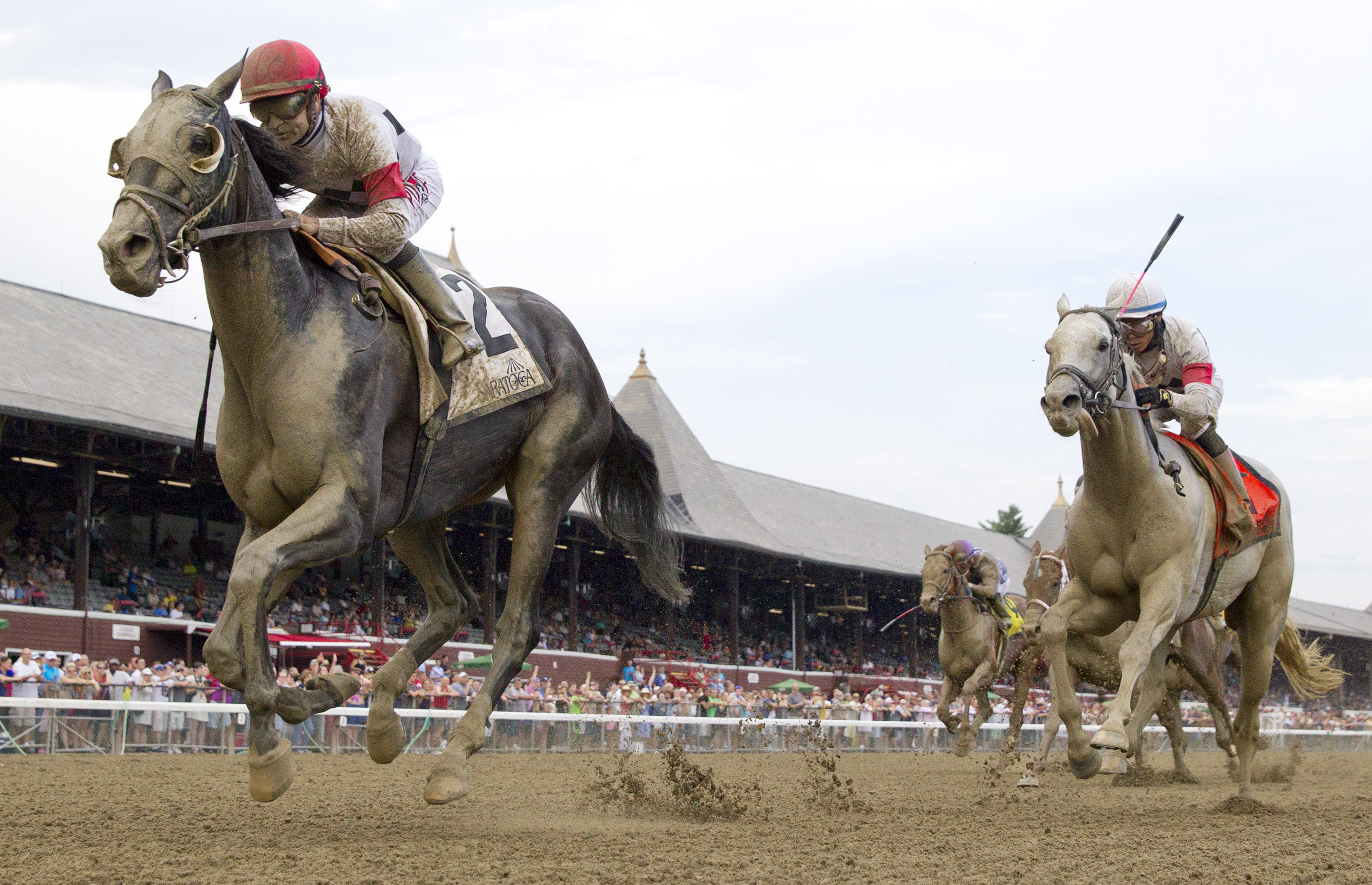 Stallwalkin' Dude