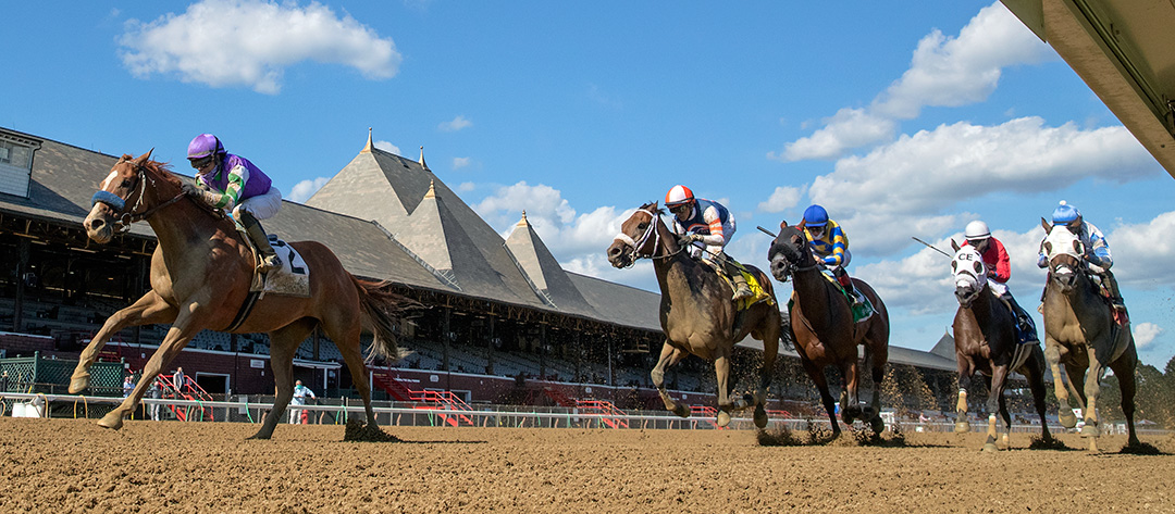 Stan the Man wins the 2020 Tale of the Cat Stakes at Saratoga