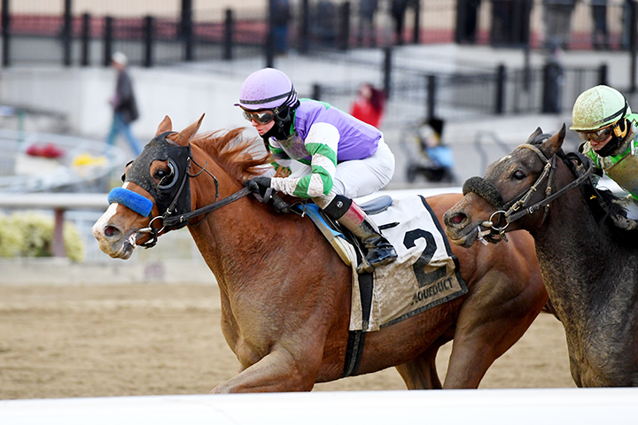 Stan the Man wins the 2019 Queens County Stakes at Aqueduct Racetrack