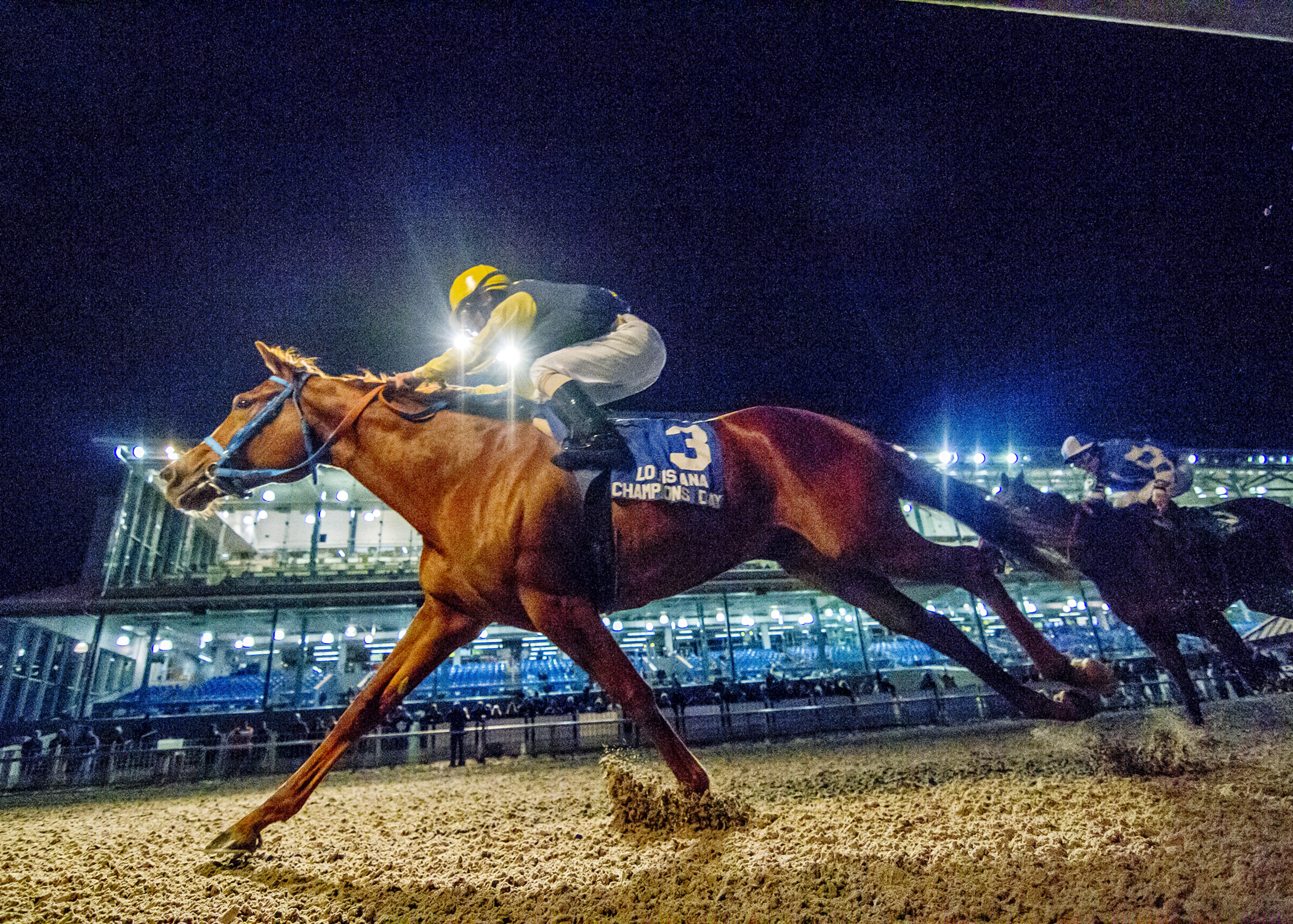 Stand Him Up wins the Louisiana Champions Day Sprint