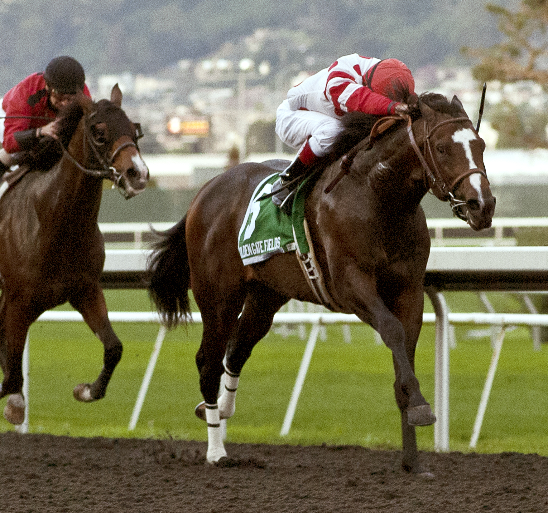 Stand and Salute wins the Gold Rush Stakes
