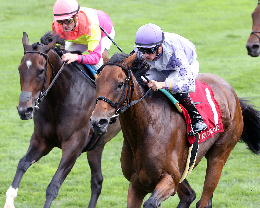 Stand Tall wins an Oct. 13 allowance race at Keeneland