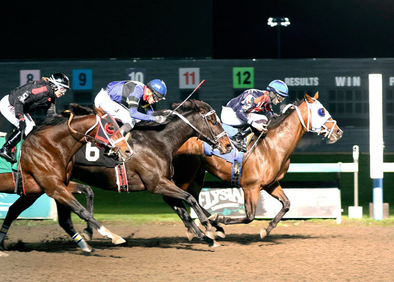 Stand To beats Spittin Image in an Oct. 22 allowance at Emerald Downs