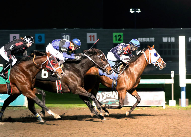Stand To beats Spittin Image in an Oct. 22 allowance at Emerald Downs
