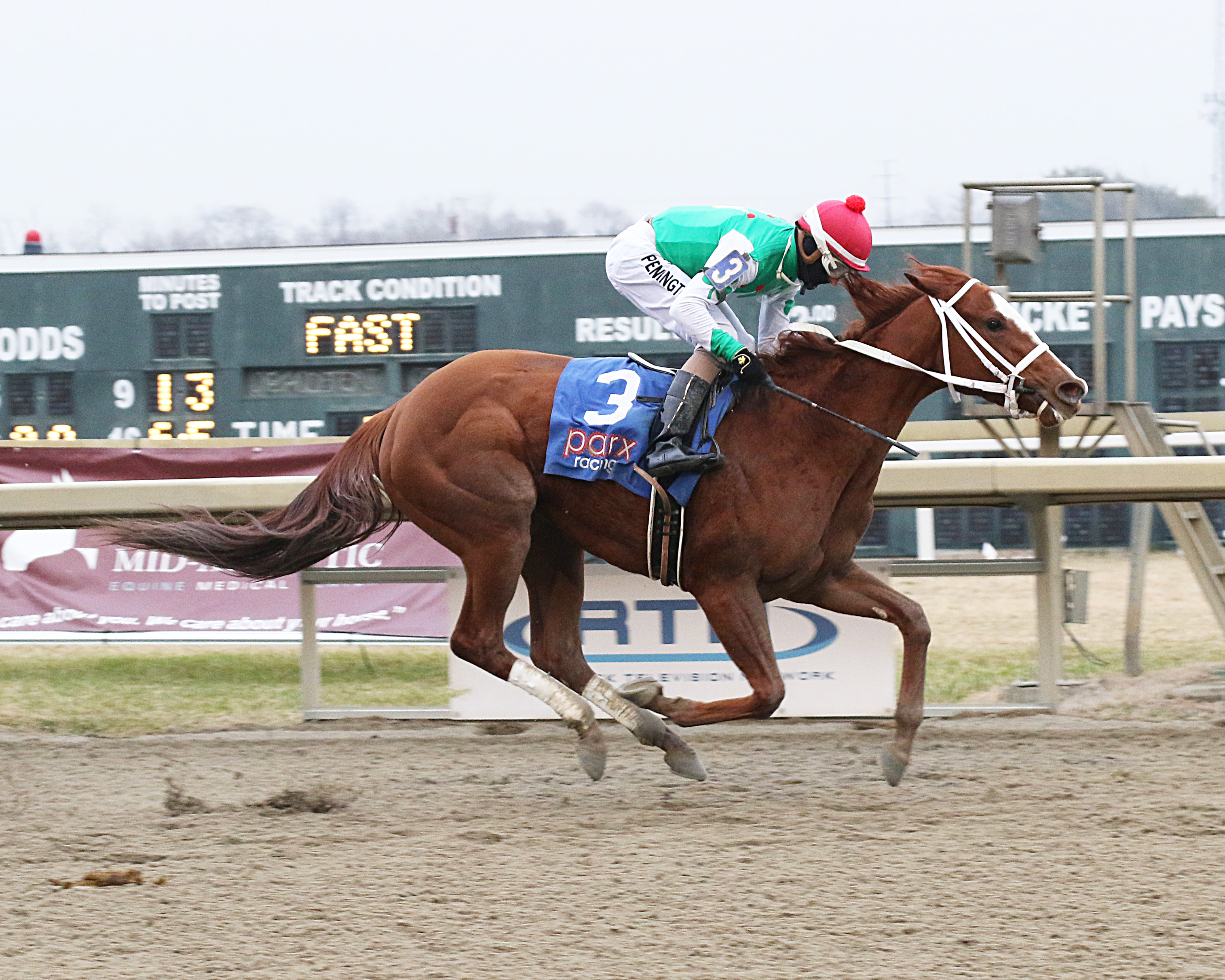 Stand Up Comic - Parx Futurity