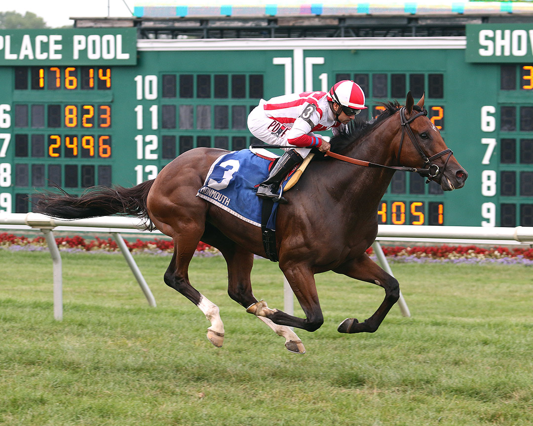 Standard Deviation wins the 2019 Jersey Derby at Monmouth Park