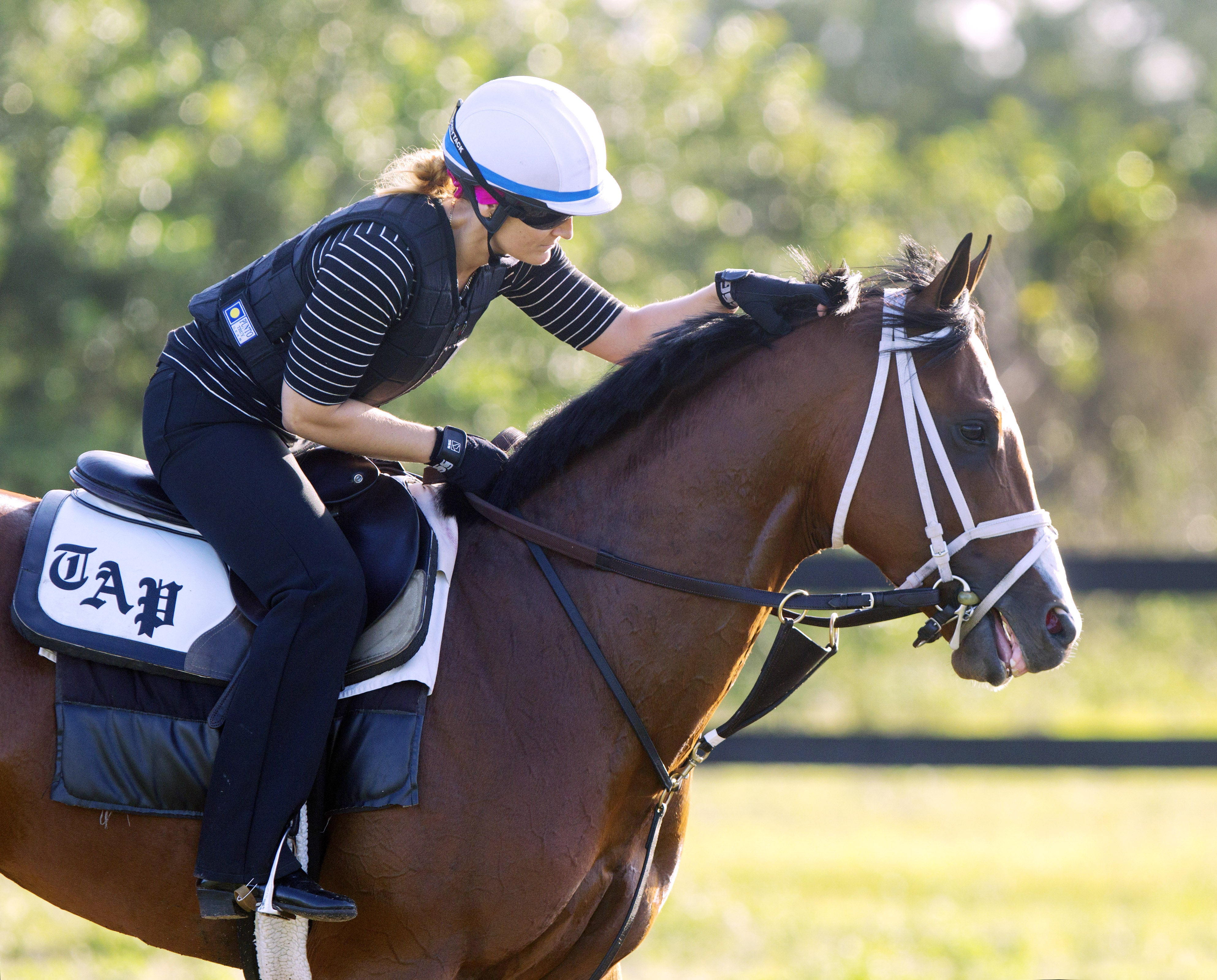Stanford at Palm Beach Downs on March 1