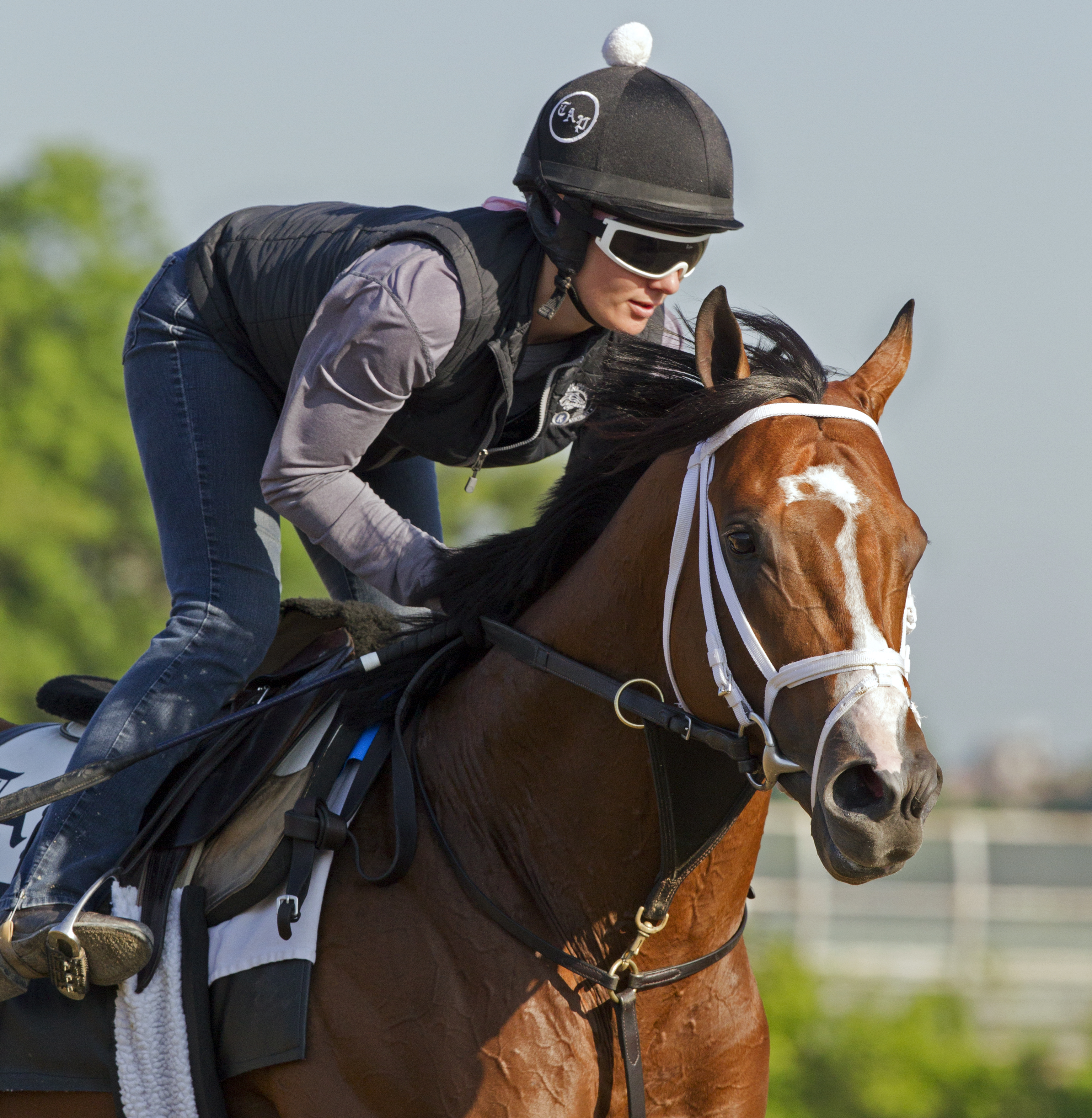 Stanford at Belmont Park on June 6