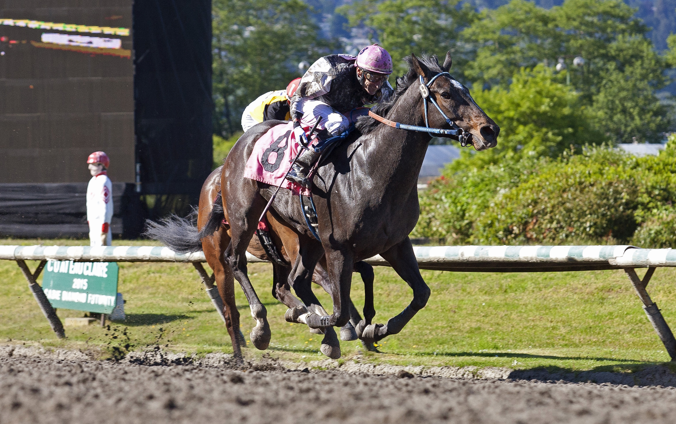 Stanz in Command wins the Jim Coleman Stakes