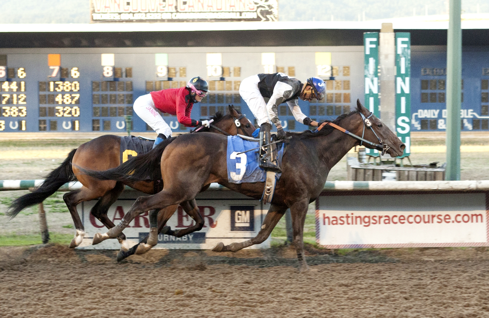 Staz in Command wins the New Westminster Stakes