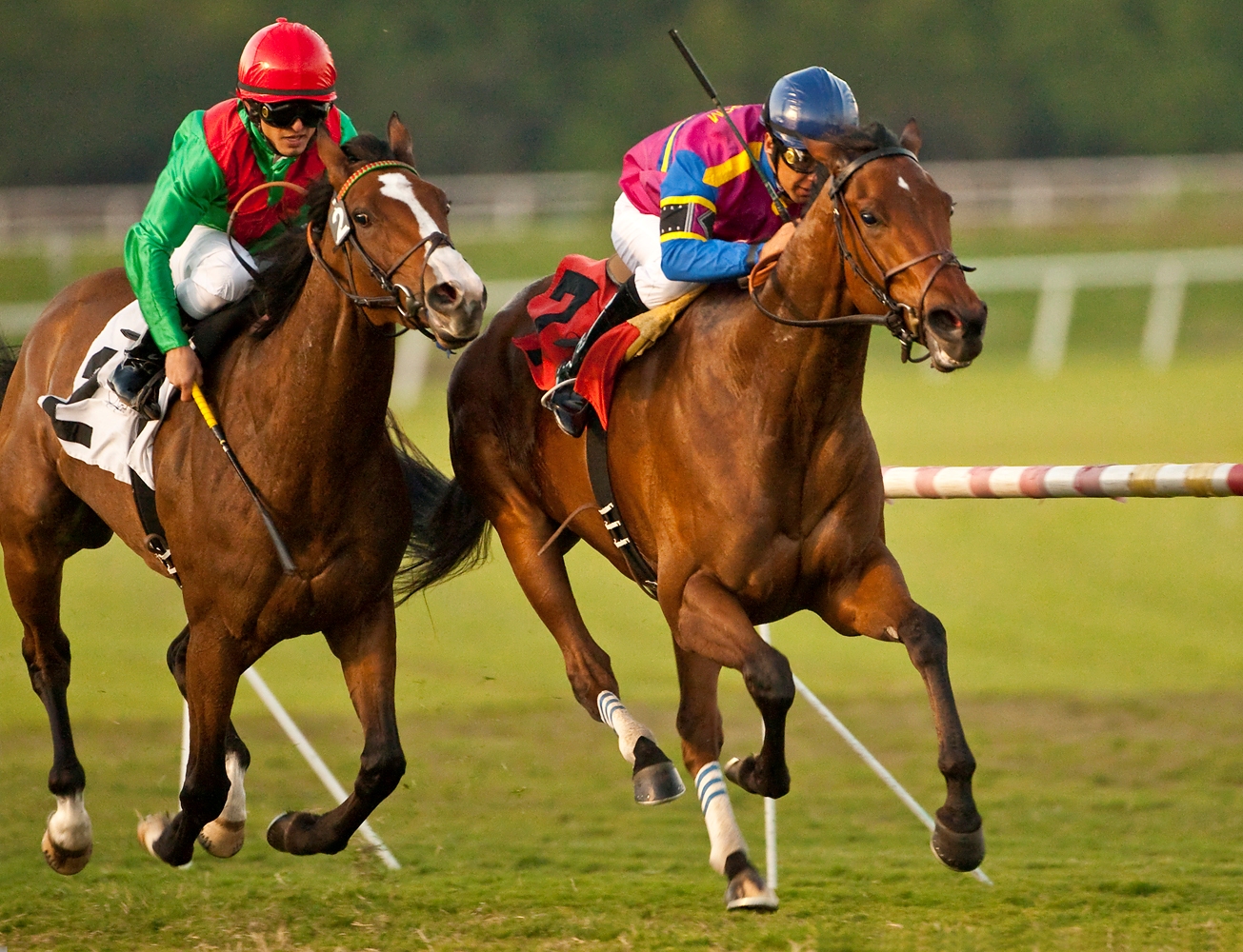 Star Billing, Matriarch