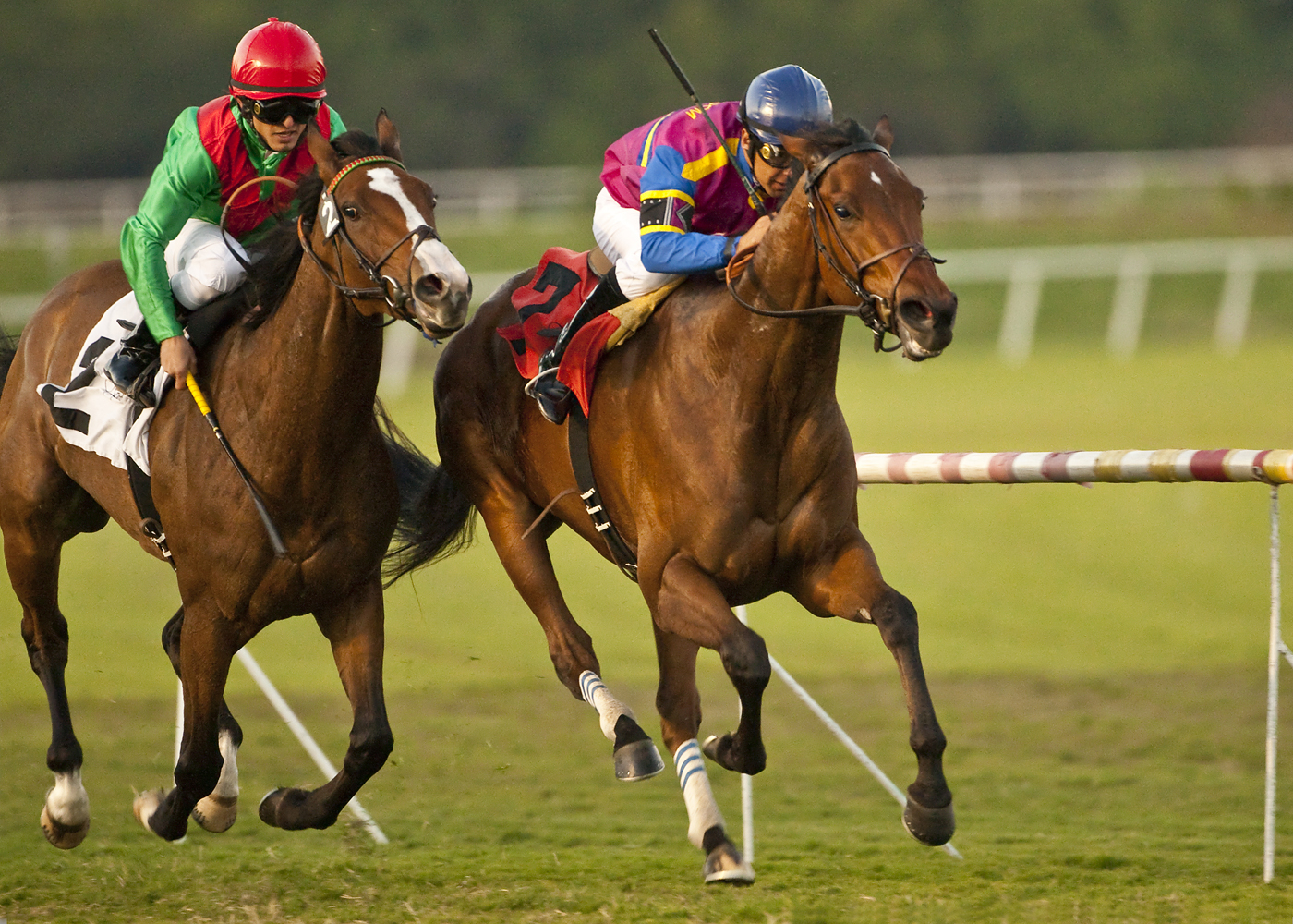 Keeneland session has gains across the board with $1.4M topper