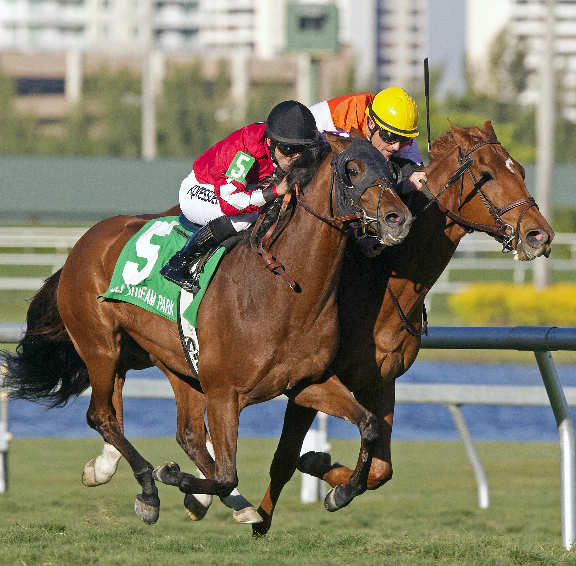 Star Channel beats Old Time Hockey in the Sunshine Millions Turf