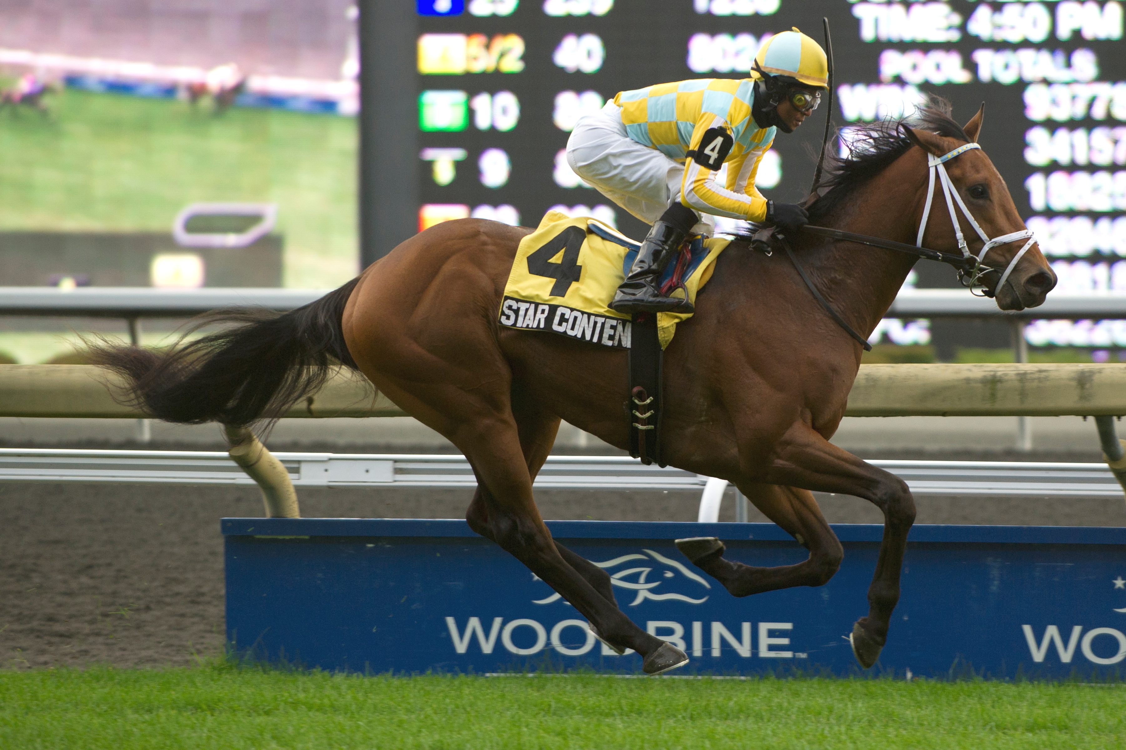Star Contender, Cup and Saucer